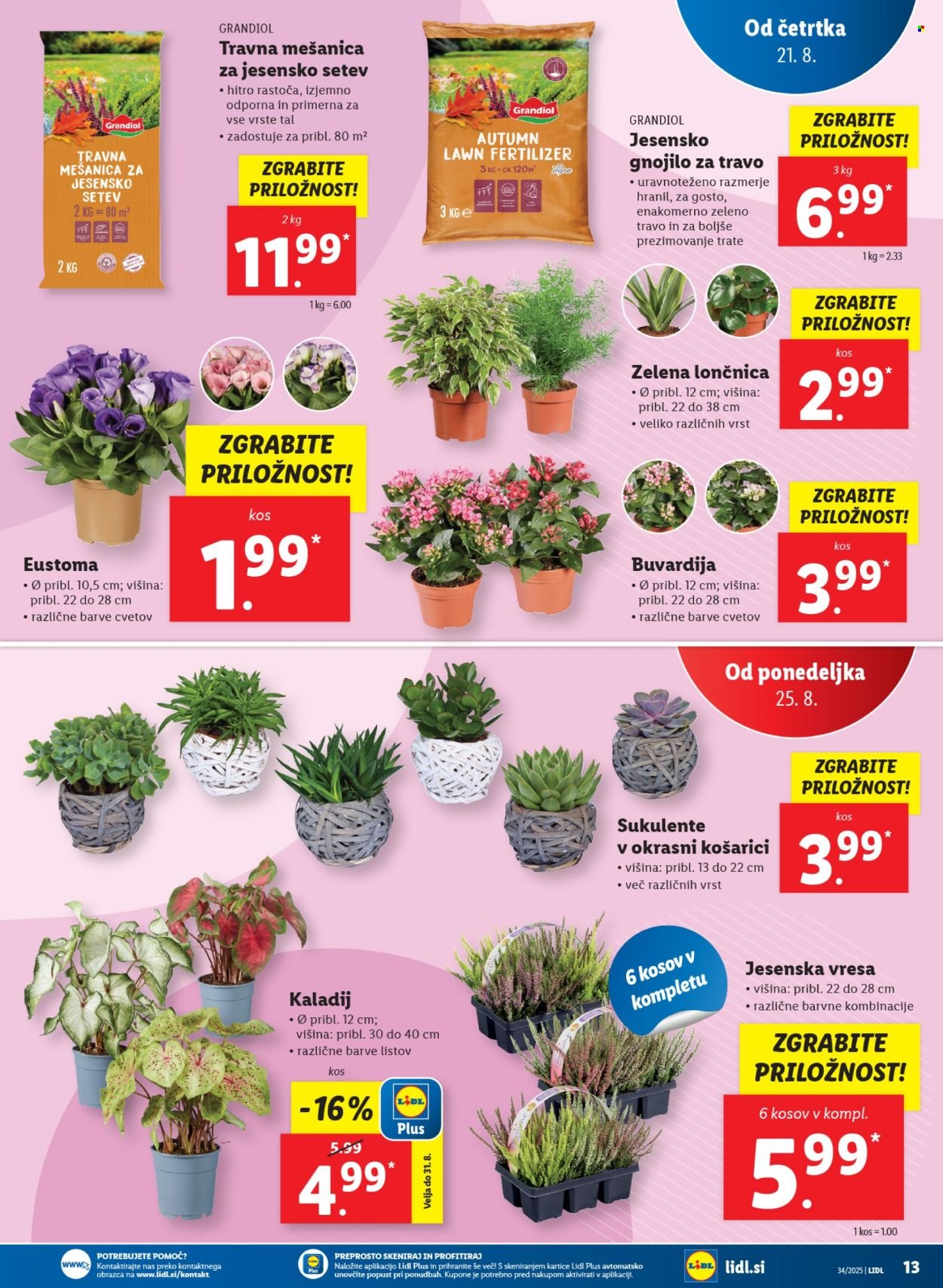LIDL katalog - Od četrtka, 21. 8. 2025 (2025-08-21 - 2025-08-27)