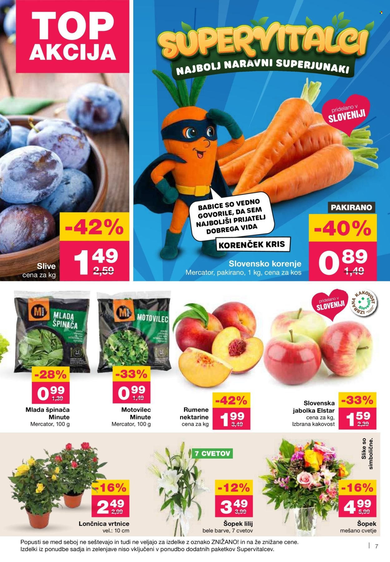 MERCATOR katalog - Redni katalog (2025-09-11 - 2025-09-17)