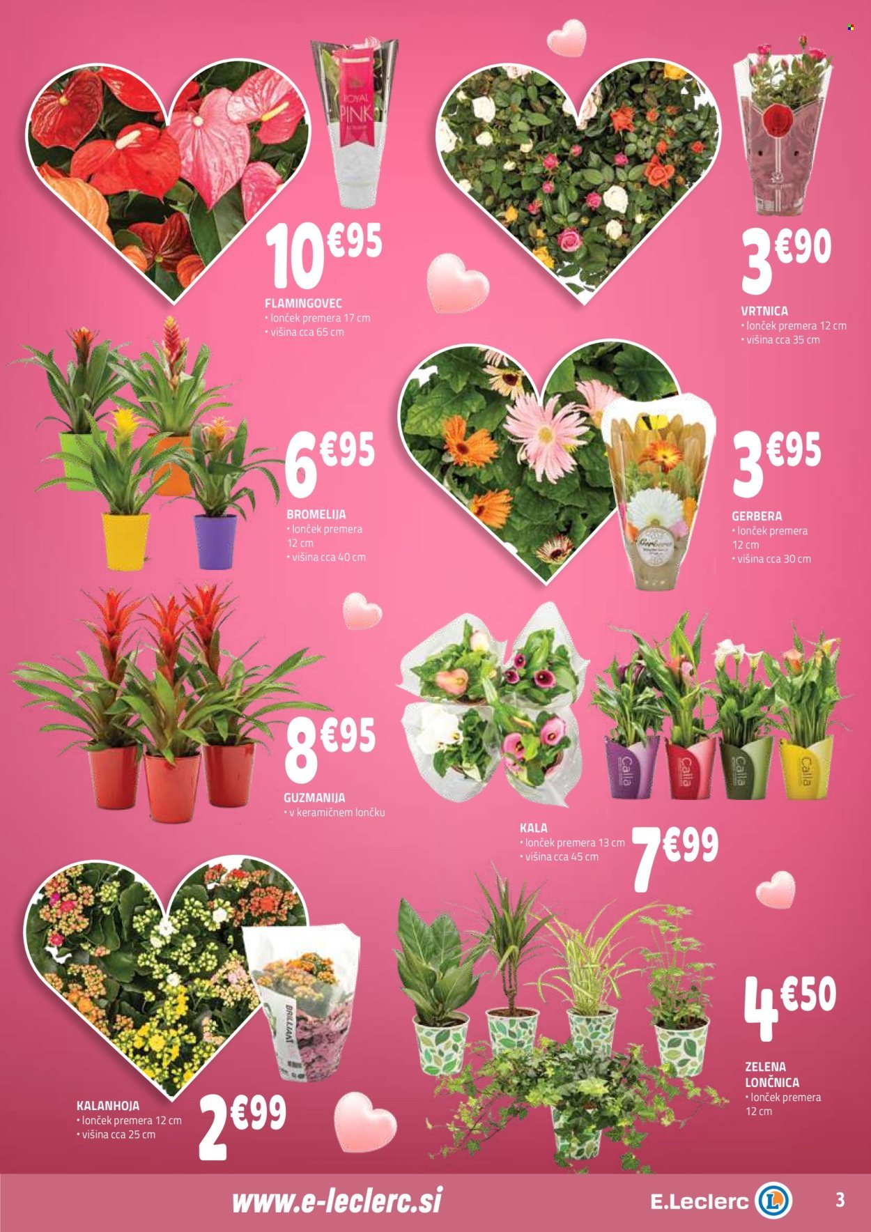 E.LECLERC katalog - Od srede, 25. 2. 2026 (2026-02-25 - 2026-03-07)