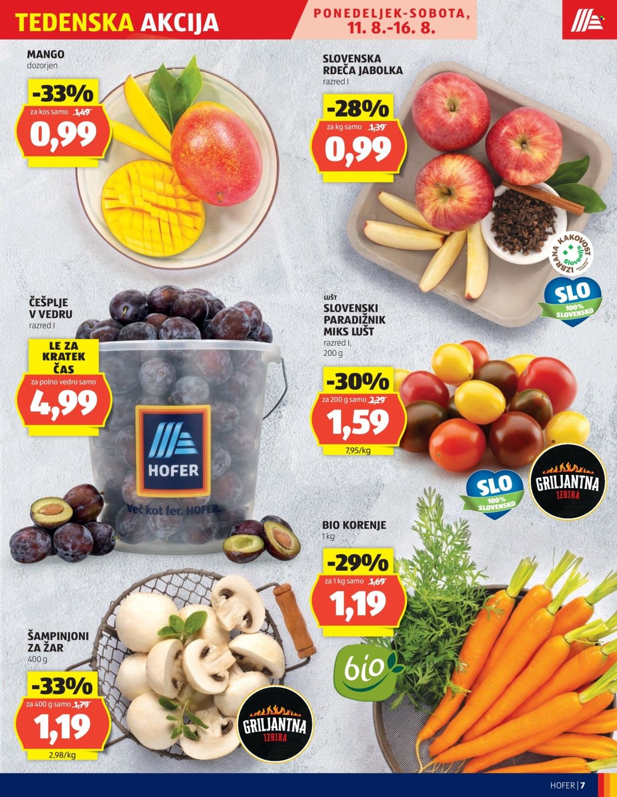 HOFER katalog - Od četrtka, 7. 8. 2025 (2025-08-07 - 2025-08-16)