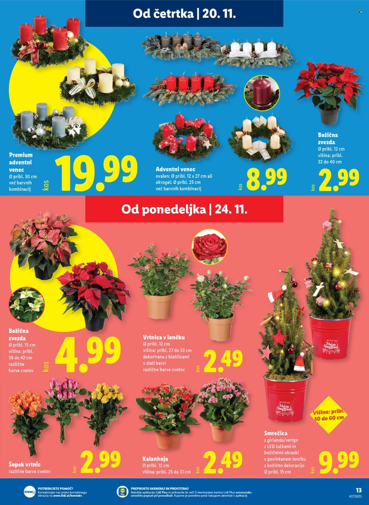 LIDL katalog - Od četrtka, 20. 11. 2025 (2025-11-20 - 2025-11-29)
