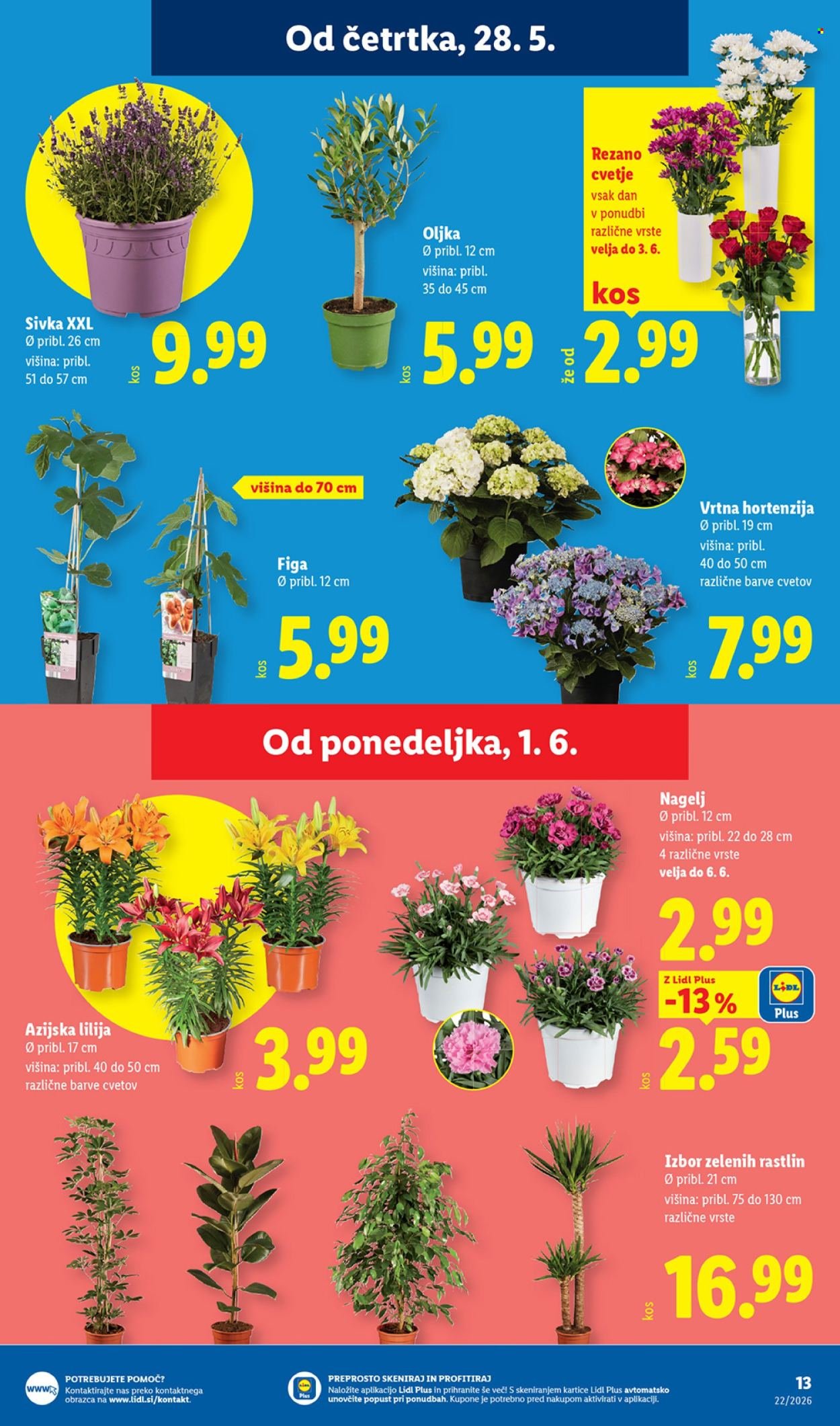 LIDL katalog - Od četrtka, 28. 5. 2026 (2026-05-28 - 2026-06-03)