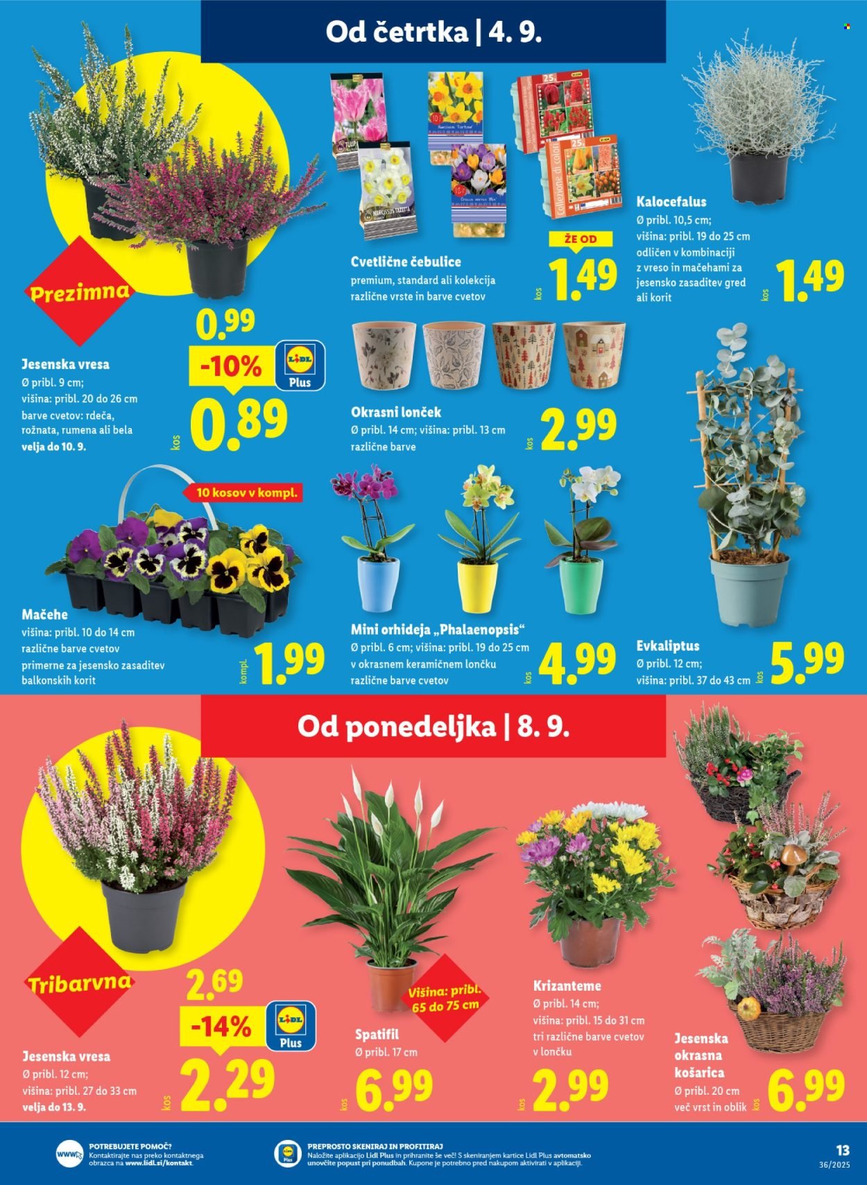 LIDL katalog - Od četrtka, 4. 9. 2025 (2025-09-04 - 2025-09-10)