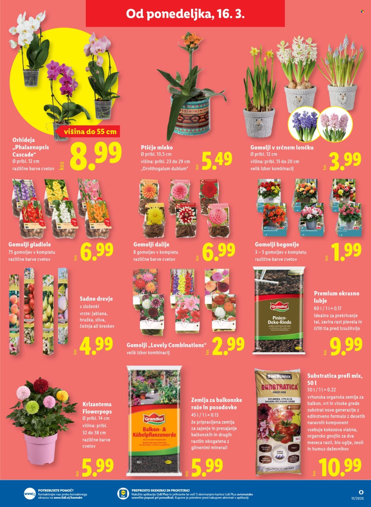 LIDL katalog - Od četrtka, 12. 3. 2026 (2026-03-12 - 2026-03-18)