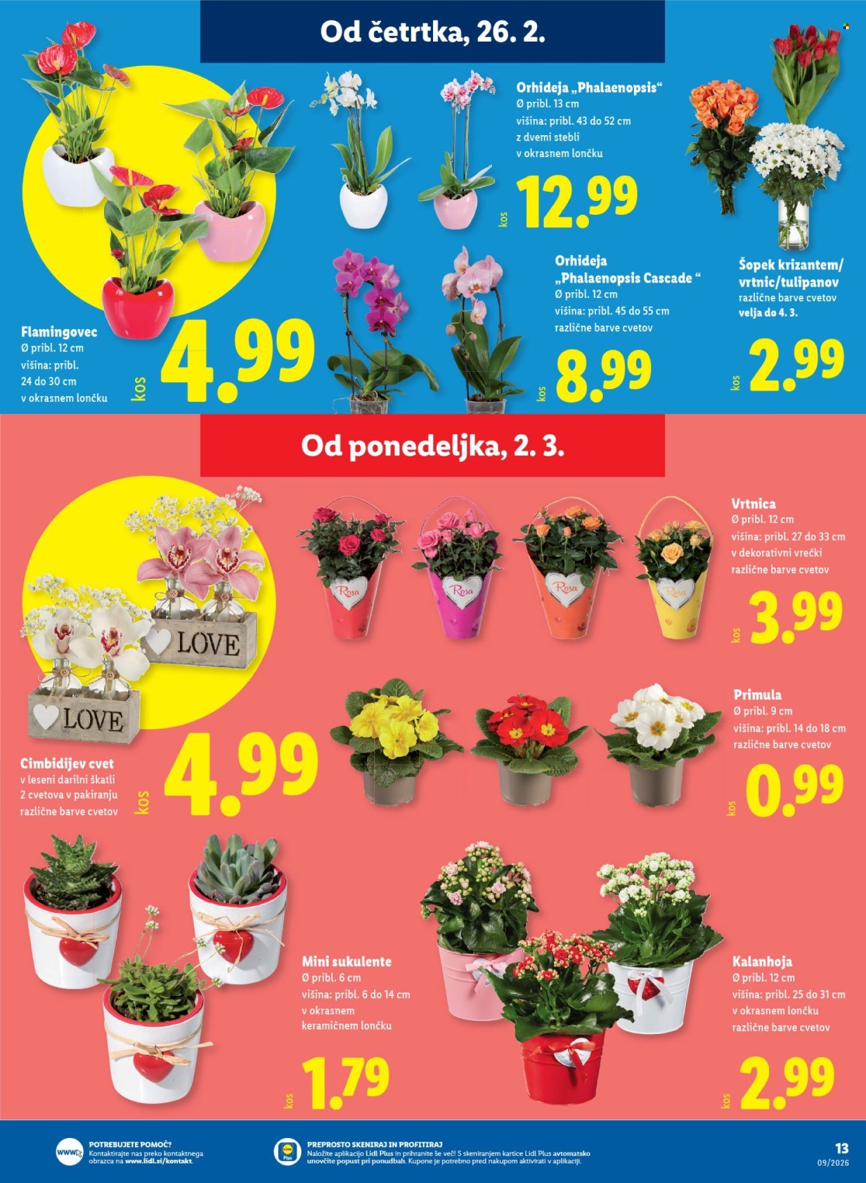 LIDL katalog - Od četrtka, 26. 2. 2026 (2026-02-26 - 2026-03-04)