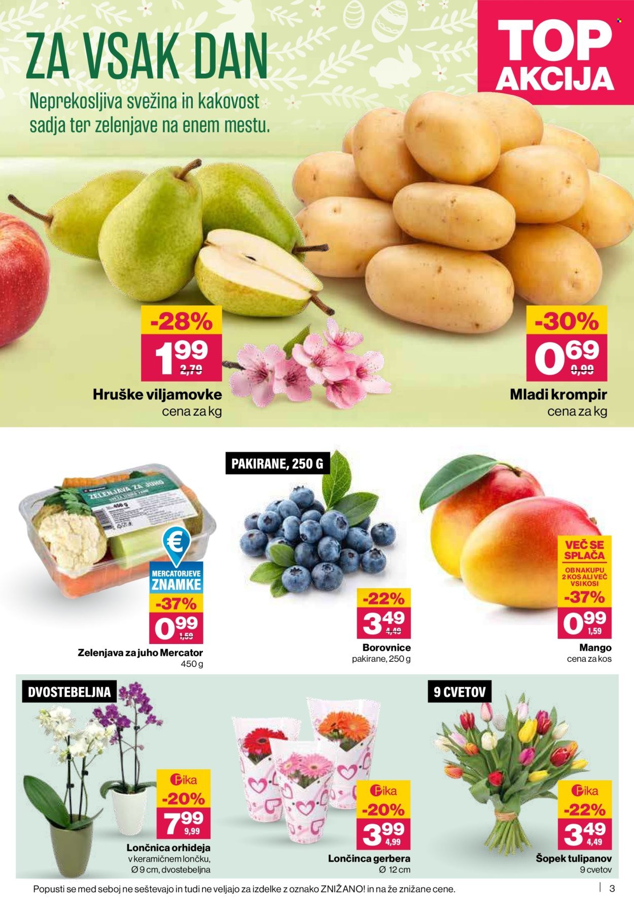 MERCATOR katalog - Redni katalog (2026-04-02 - 2026-04-08)