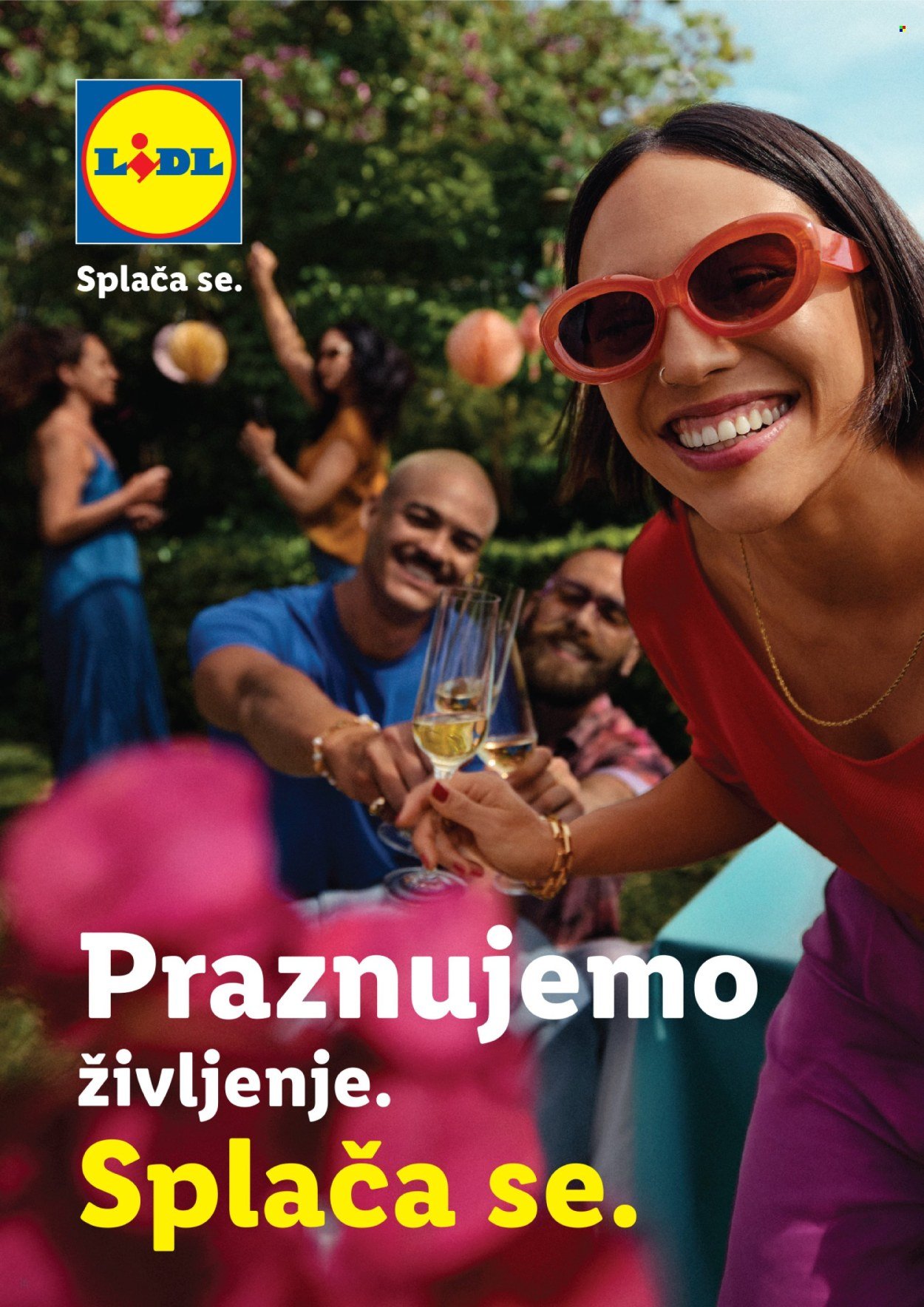 LIDL katalog - Po poti dobrih vin (2025-11-02)