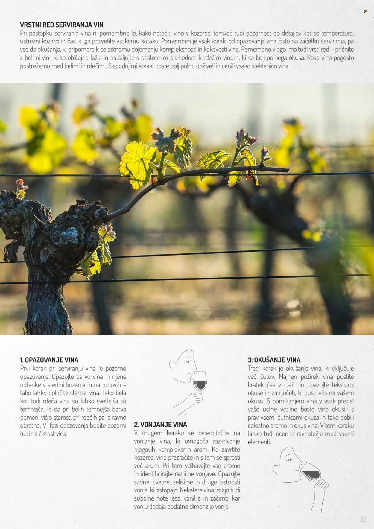 LIDL katalog - Po poti dobrih vin (2025-11-02)