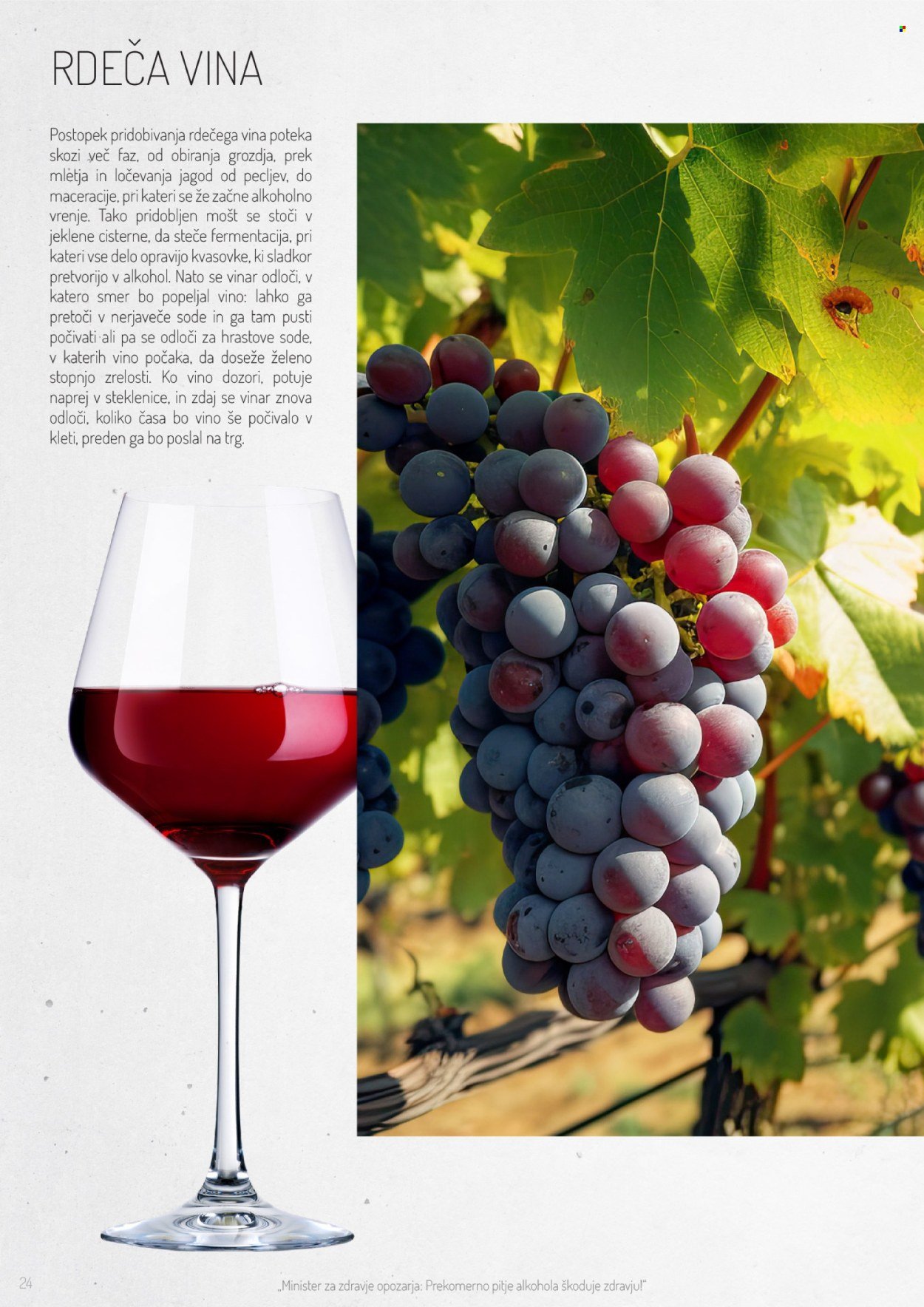 LIDL katalog - Po poti dobrih vin (2025-11-02)