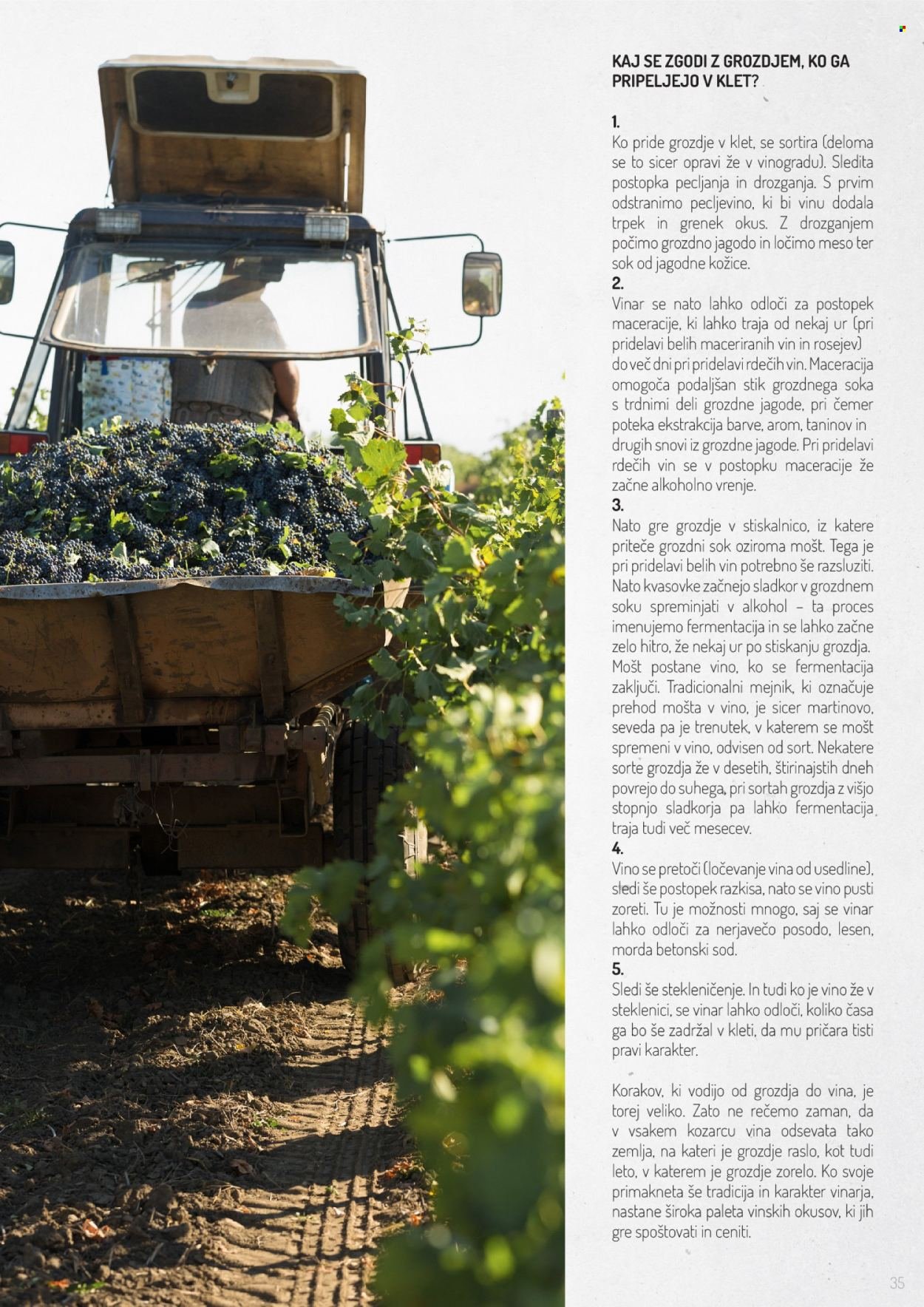 LIDL katalog - Po poti dobrih vin (2025-11-02)