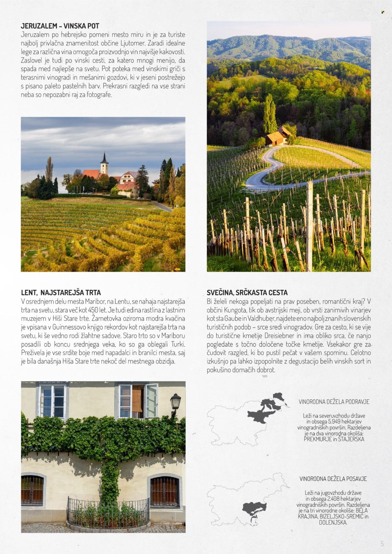 LIDL katalog - Po poti dobrih vin (2025-11-02)