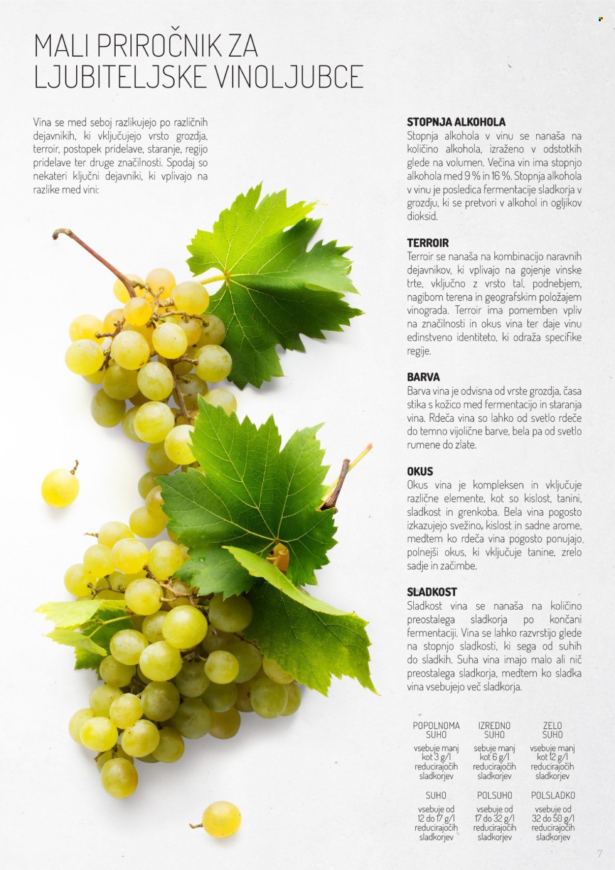 LIDL katalog - Po poti dobrih vin (2025-11-02)