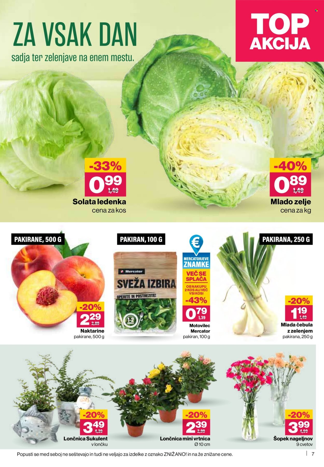 MERCATOR katalog - Od četrtka, 21. 5. 2026 (2026-05-21 - 2026-05-27)
