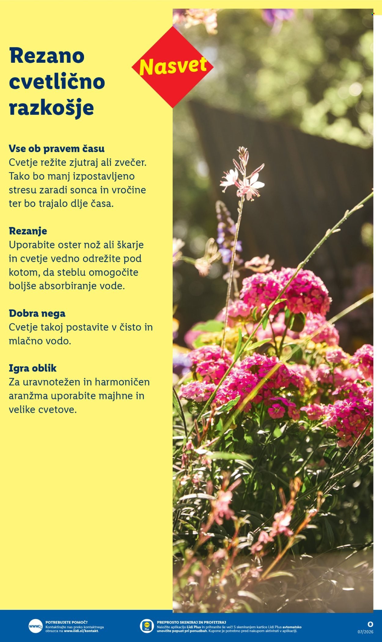 LIDL katalog - Zgodbe iz mojega vrta (2026-02-15)