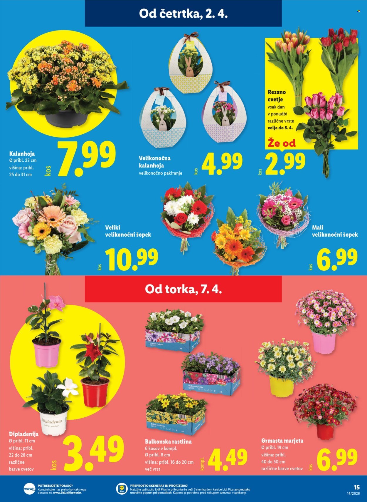 LIDL katalog - Od četrtka, 2. 4. 2026 (2026-04-02 - 2026-04-08)