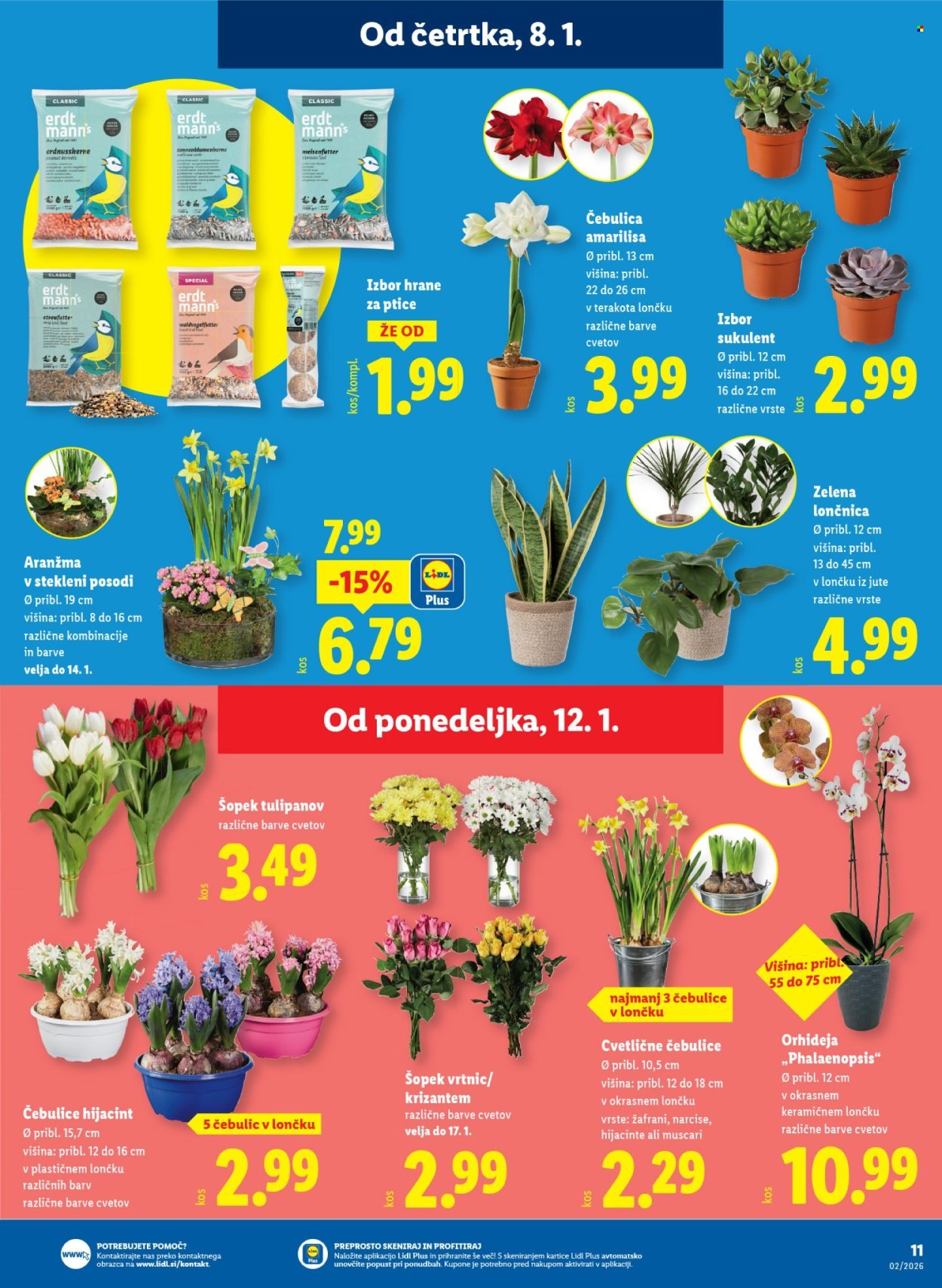 LIDL katalog - Od četrtka, 8. 1. 2026 (2026-01-08 - 2026-01-14)