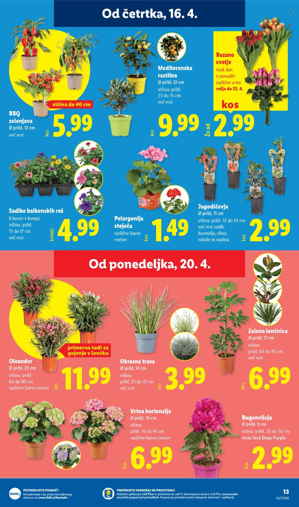 LIDL katalog - Od četrtka, 16. 4. 2026 (2026-04-16 - 2026-04-22)
