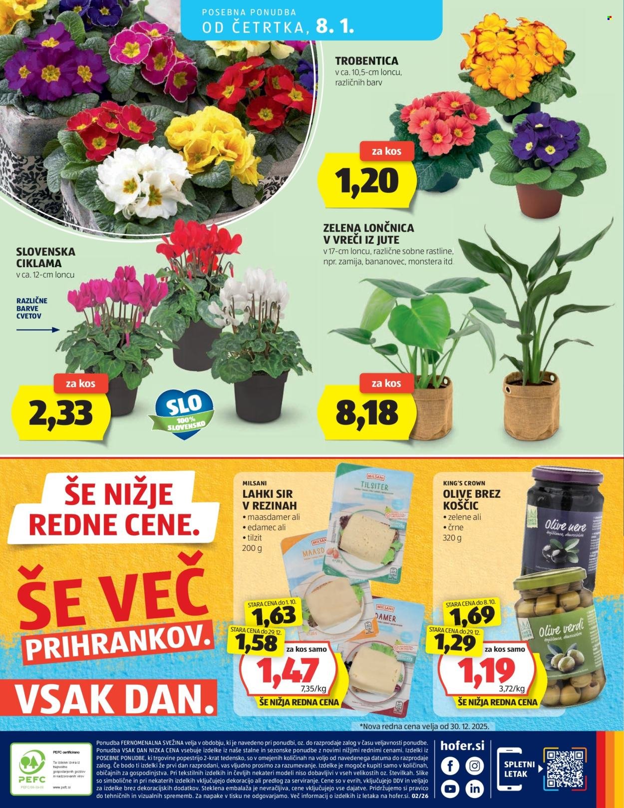 HOFER katalog - Od torka, 30. 12. 2025 (2025-12-30 - 2026-01-08)