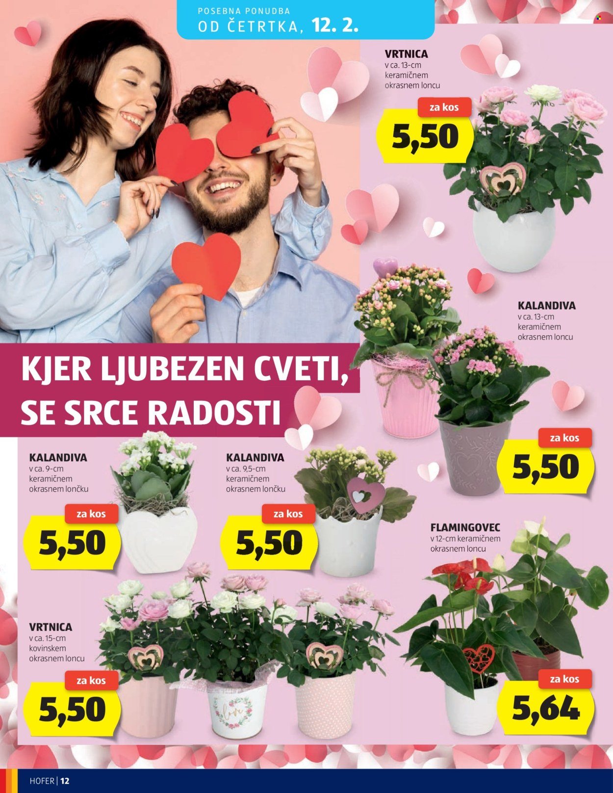 HOFER katalog - Od srede, 4. 2. 2026 (2026-02-04 - 2026-02-12)