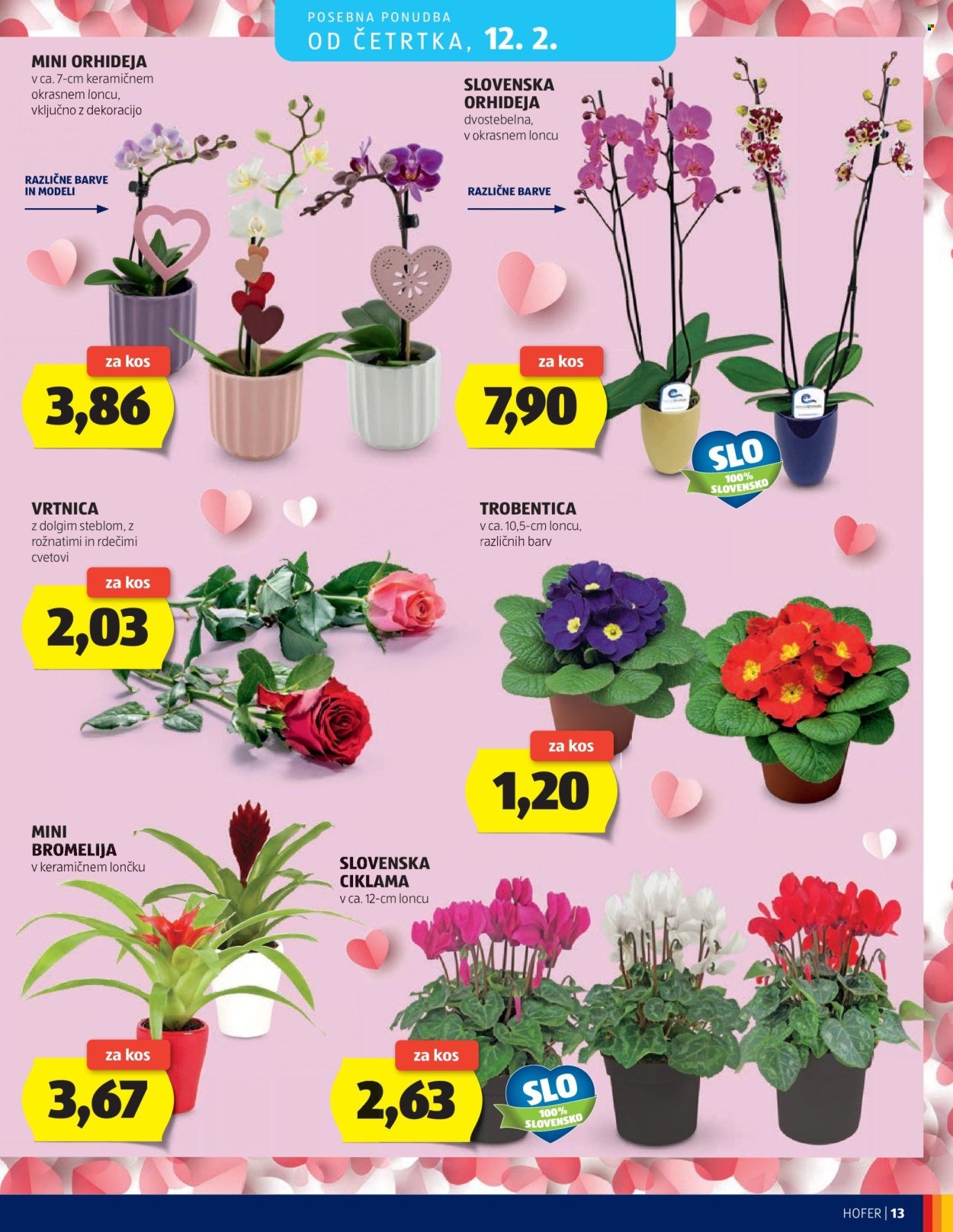HOFER katalog - Od srede, 4. 2. 2026 (2026-02-04 - 2026-02-12)