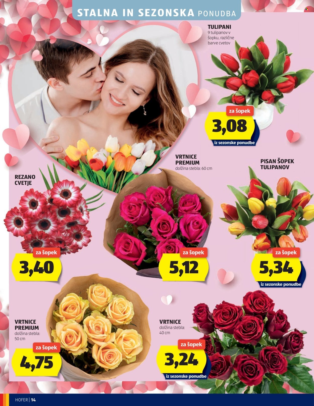 HOFER katalog - Od srede, 4. 2. 2026 (2026-02-04 - 2026-02-12)