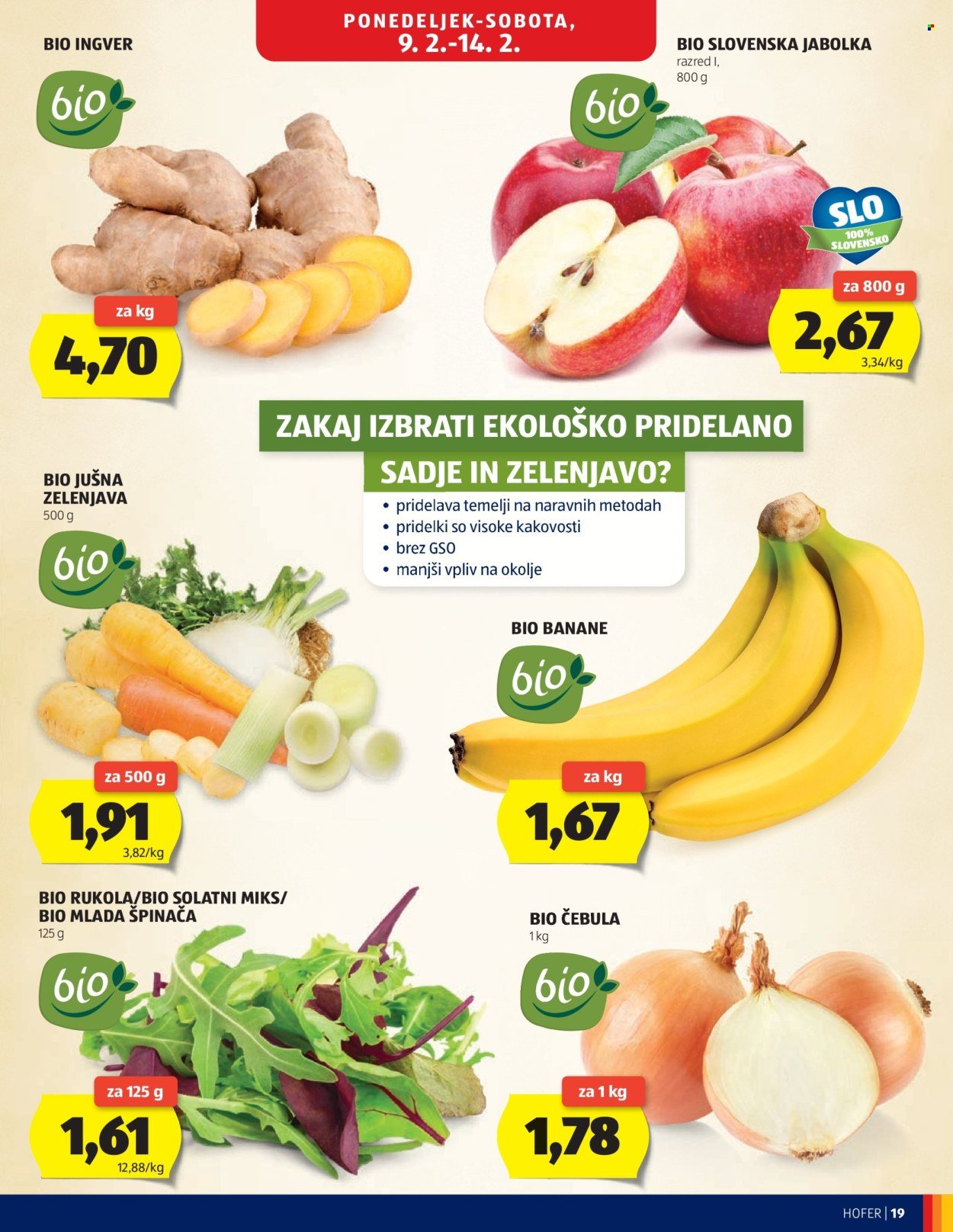 HOFER katalog - Od srede, 4. 2. 2026 (2026-02-04 - 2026-02-12)