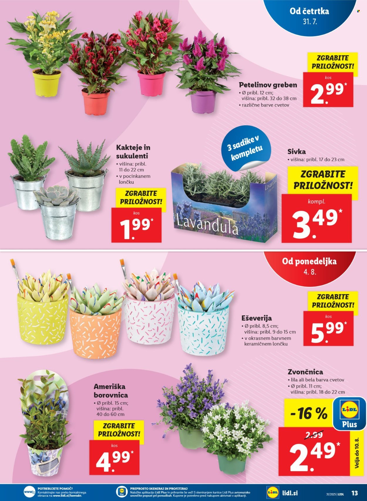 LIDL katalog - Od četrtka, 31. 7. 2025 (2025-07-31 - 2025-08-06)
