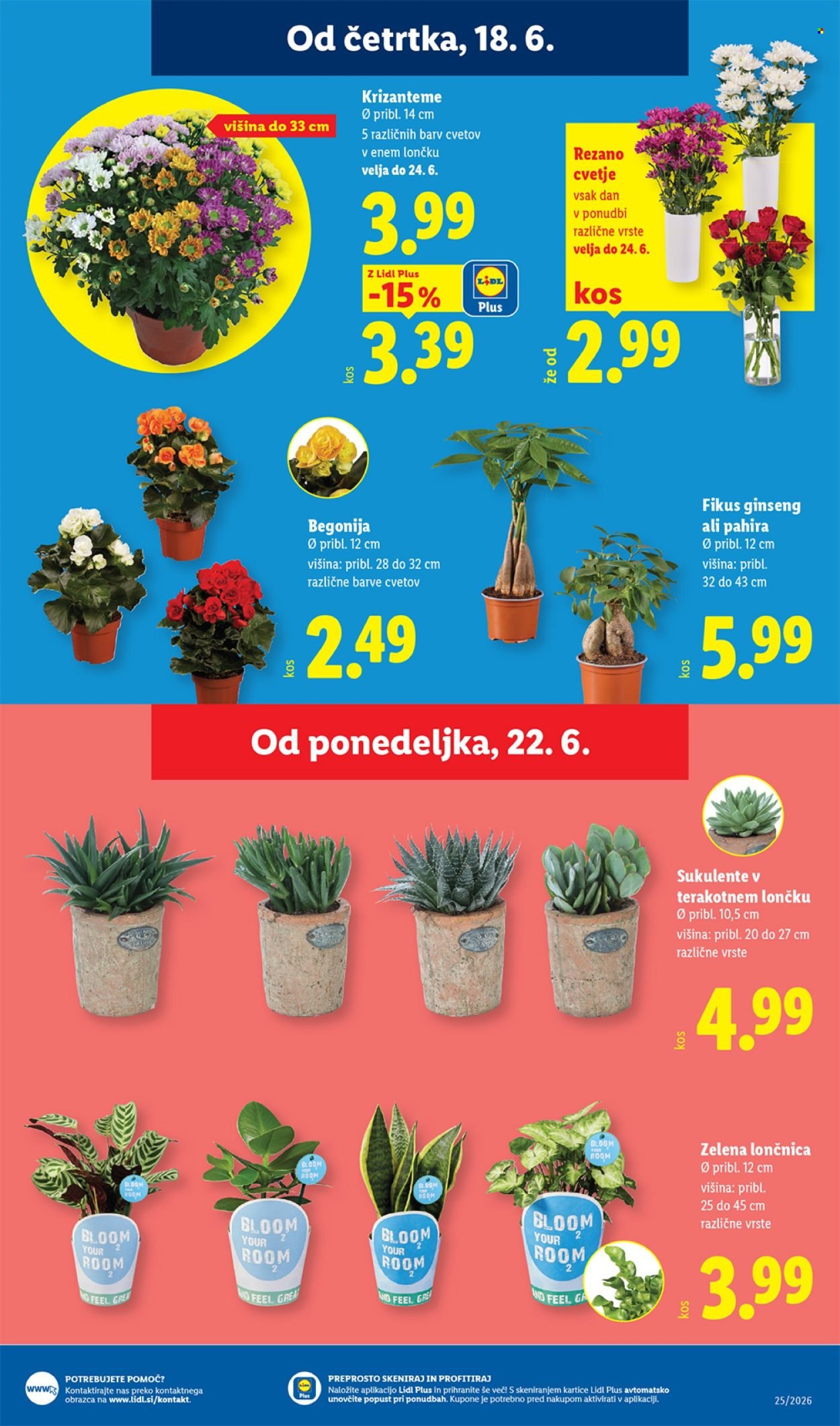LIDL katalog - Od četrtka, 18. 6. 2026