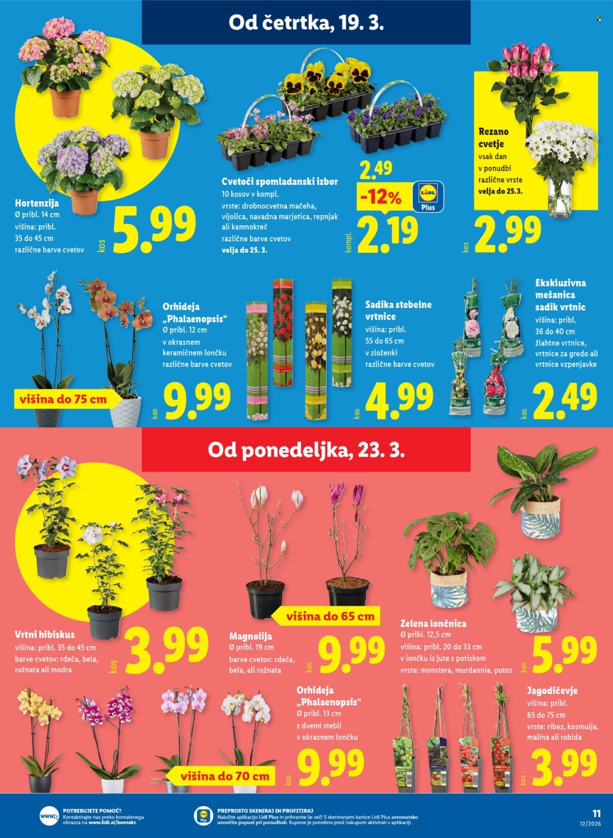 LIDL katalog - Od četrtka, 19. 3. 2026 (2026-03-19 - 2026-03-25)