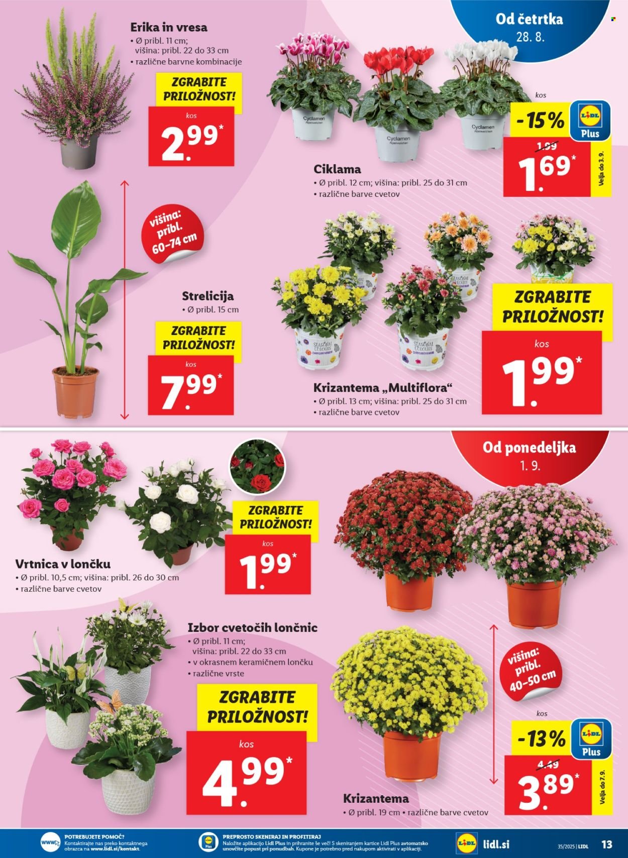 LIDL katalog - Od četrtka, 28. 8. 2025 (2025-08-28 - 2025-09-03)