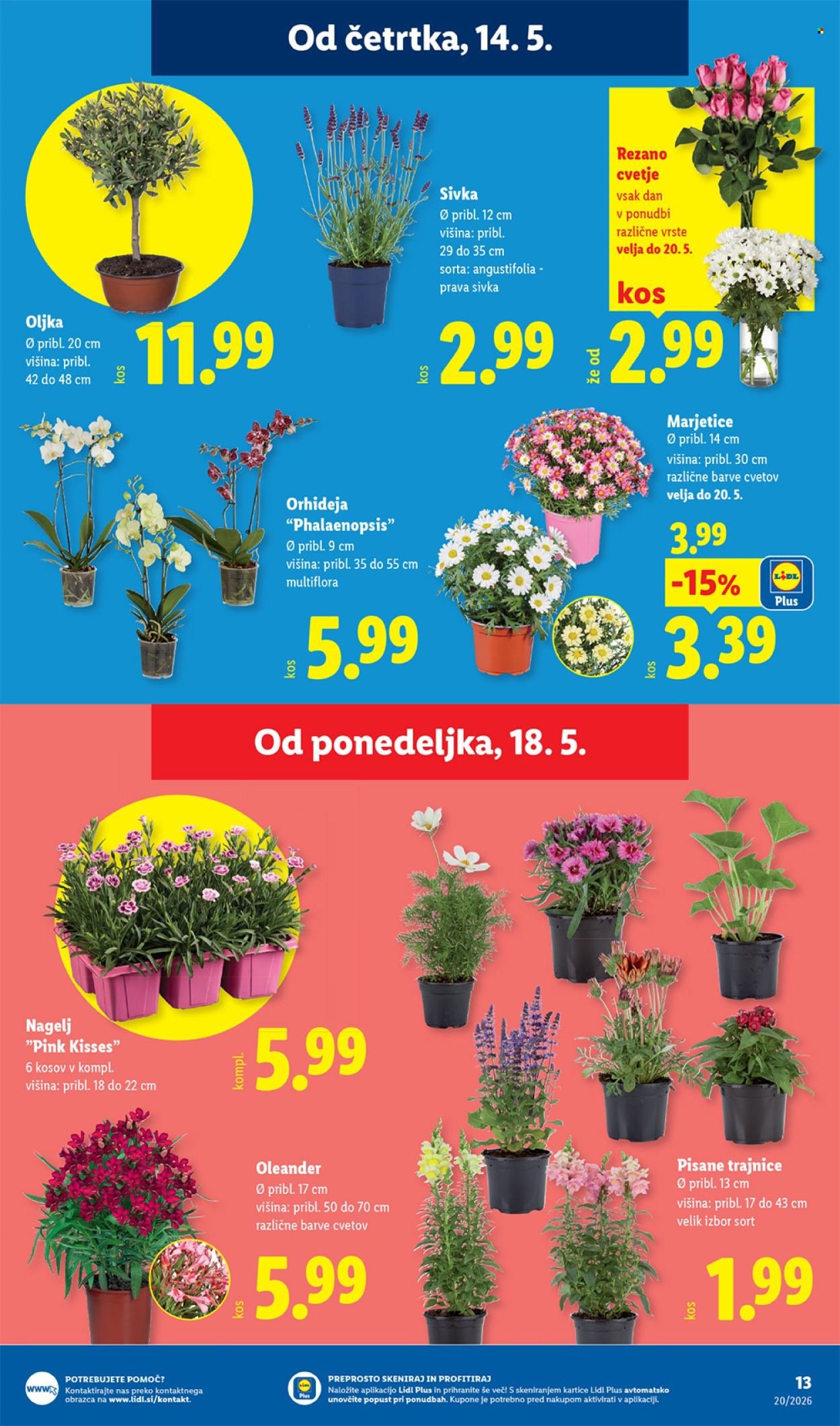 LIDL katalog - Od četrtka, 14. 5. 2026 (2026-05-14 - 2026-05-20)