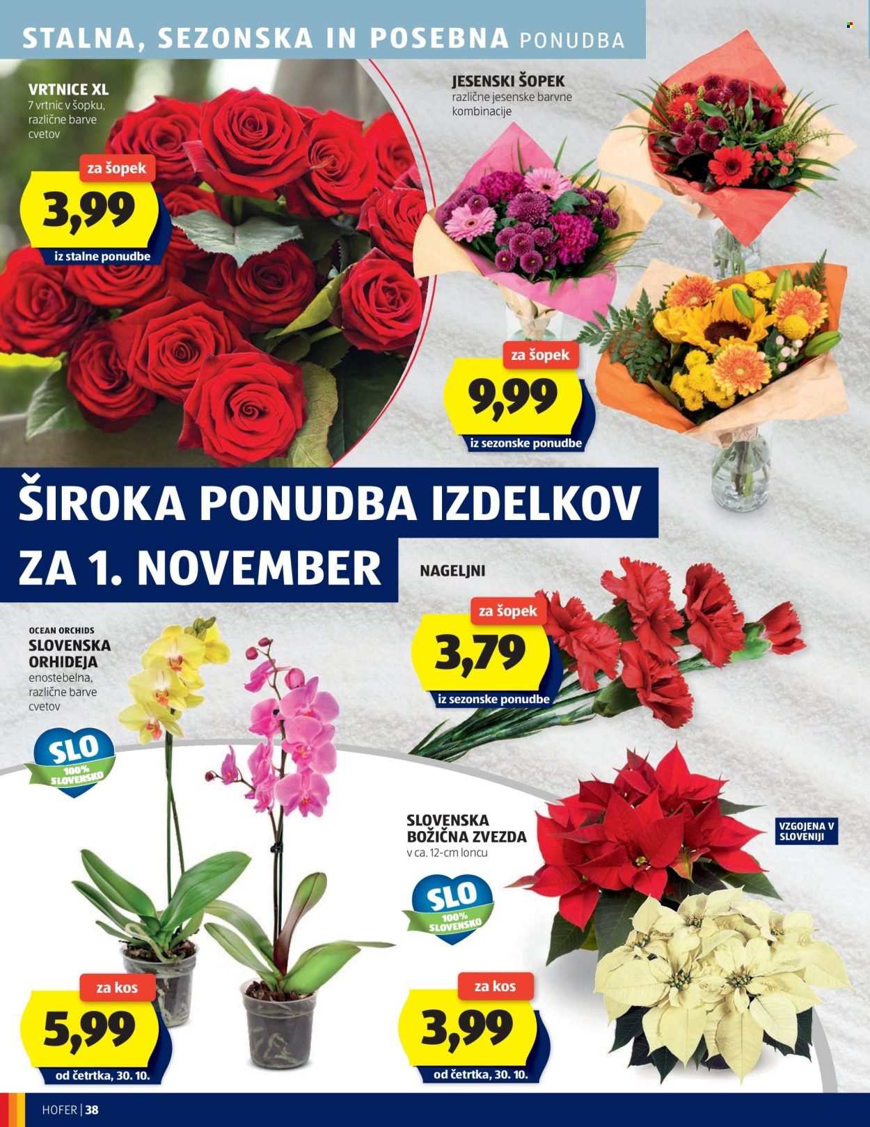 HOFER katalog - Od četrtka, 23. 10. 2025 (2025-10-23 - 2025-10-31)