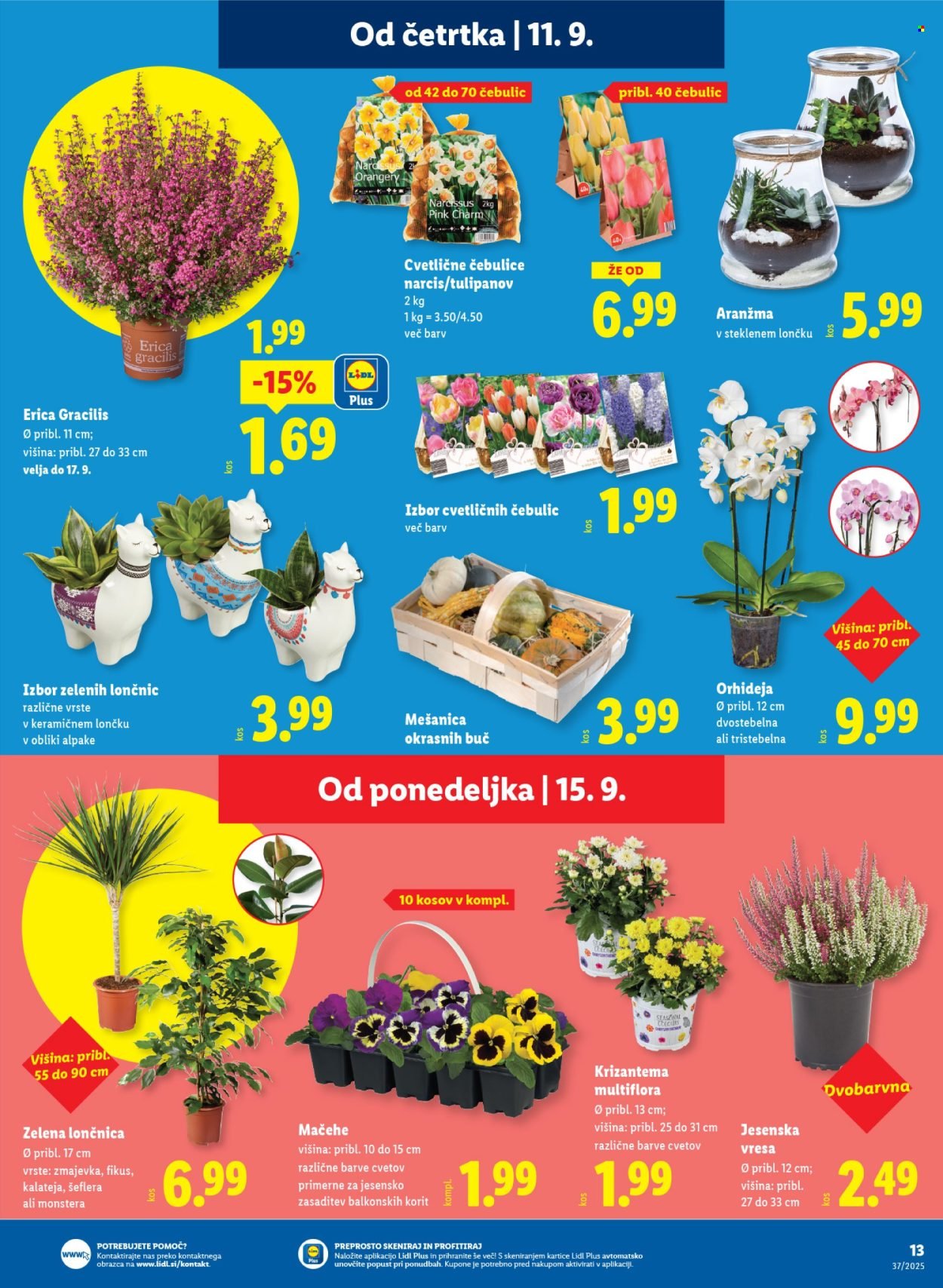 LIDL katalog - Od četrtka, 11. 9. 2025 (2025-09-11 - 2025-09-17)