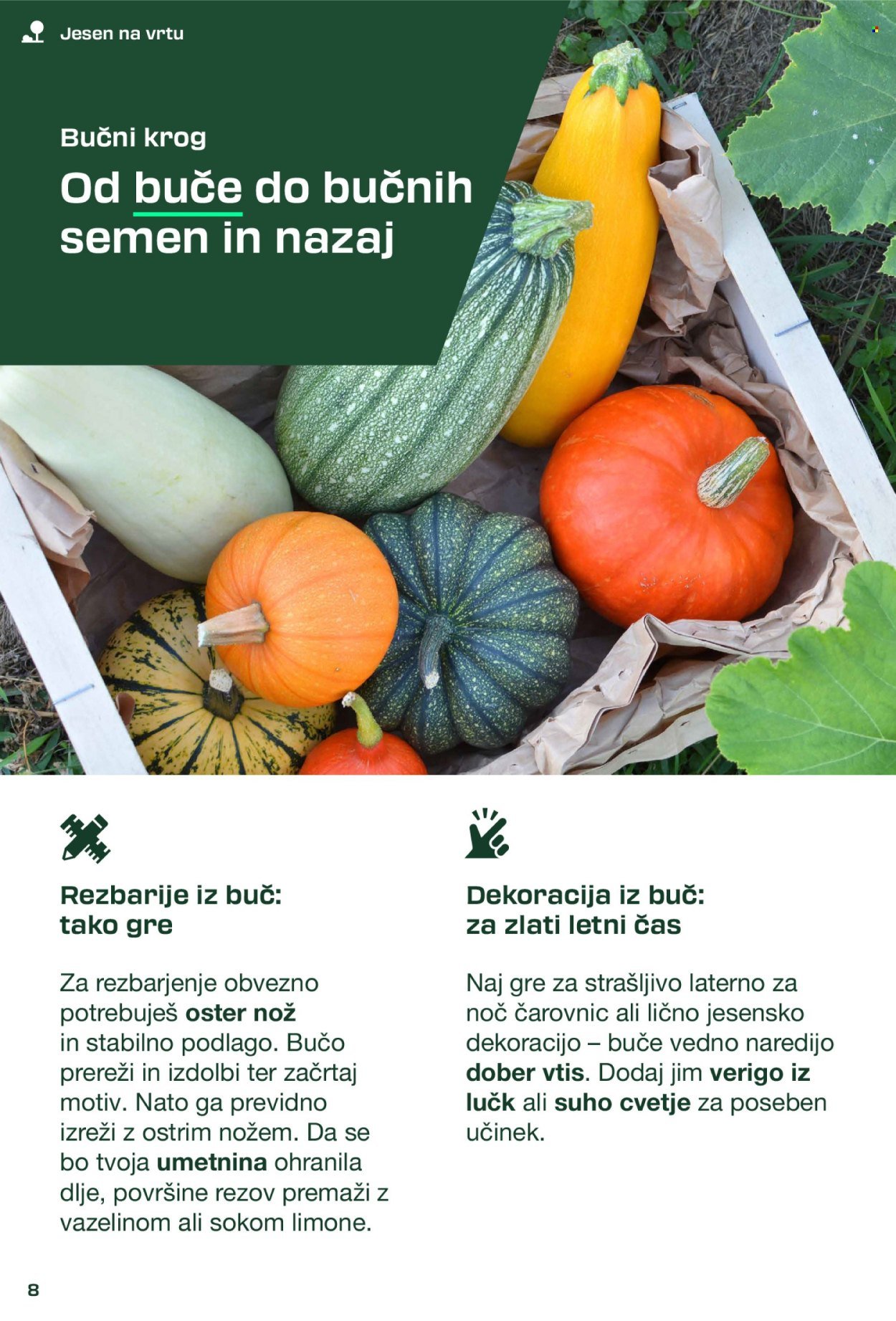 LIDL katalog - Parkside (2025-08-31)