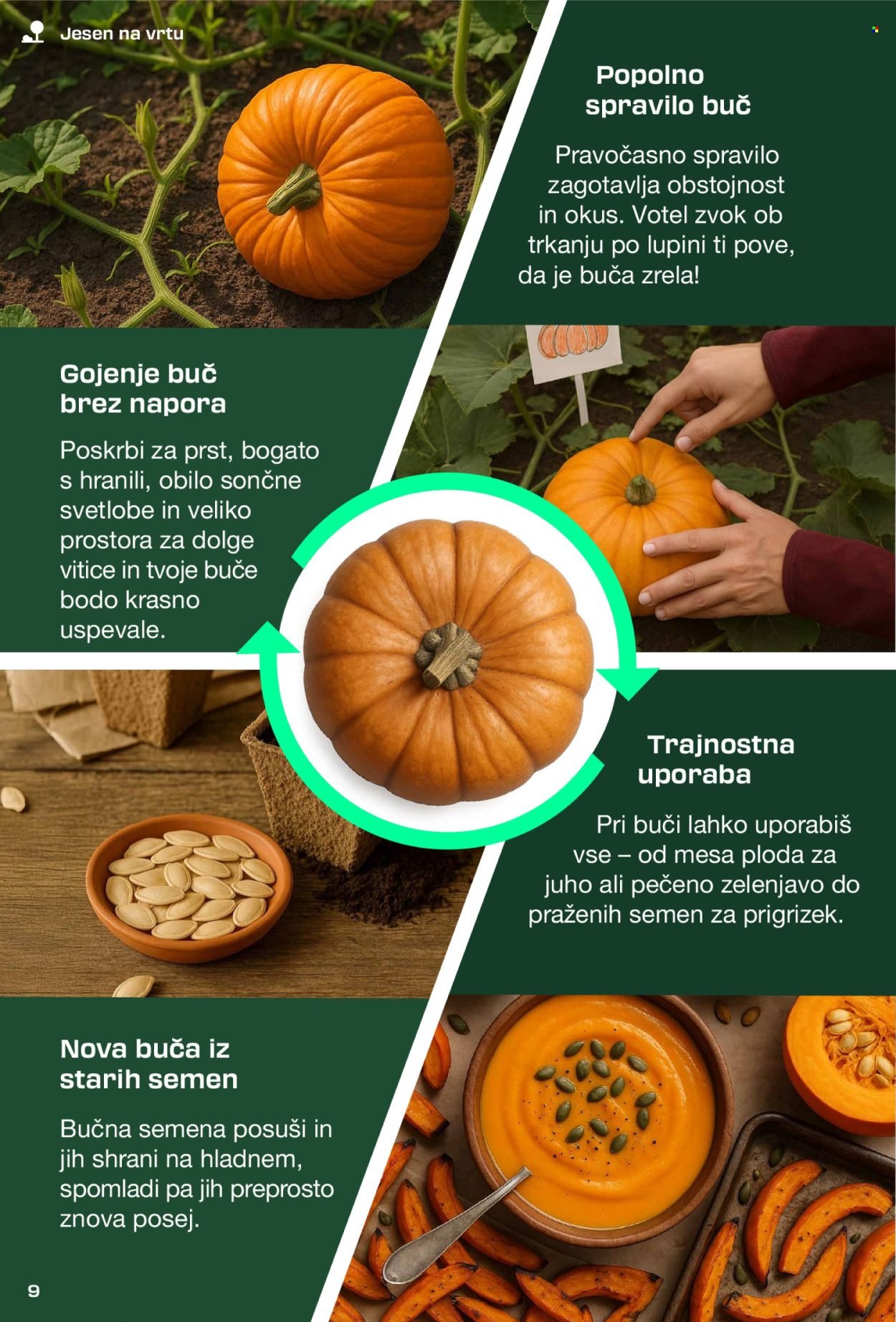 LIDL katalog - Parkside (2025-08-31)