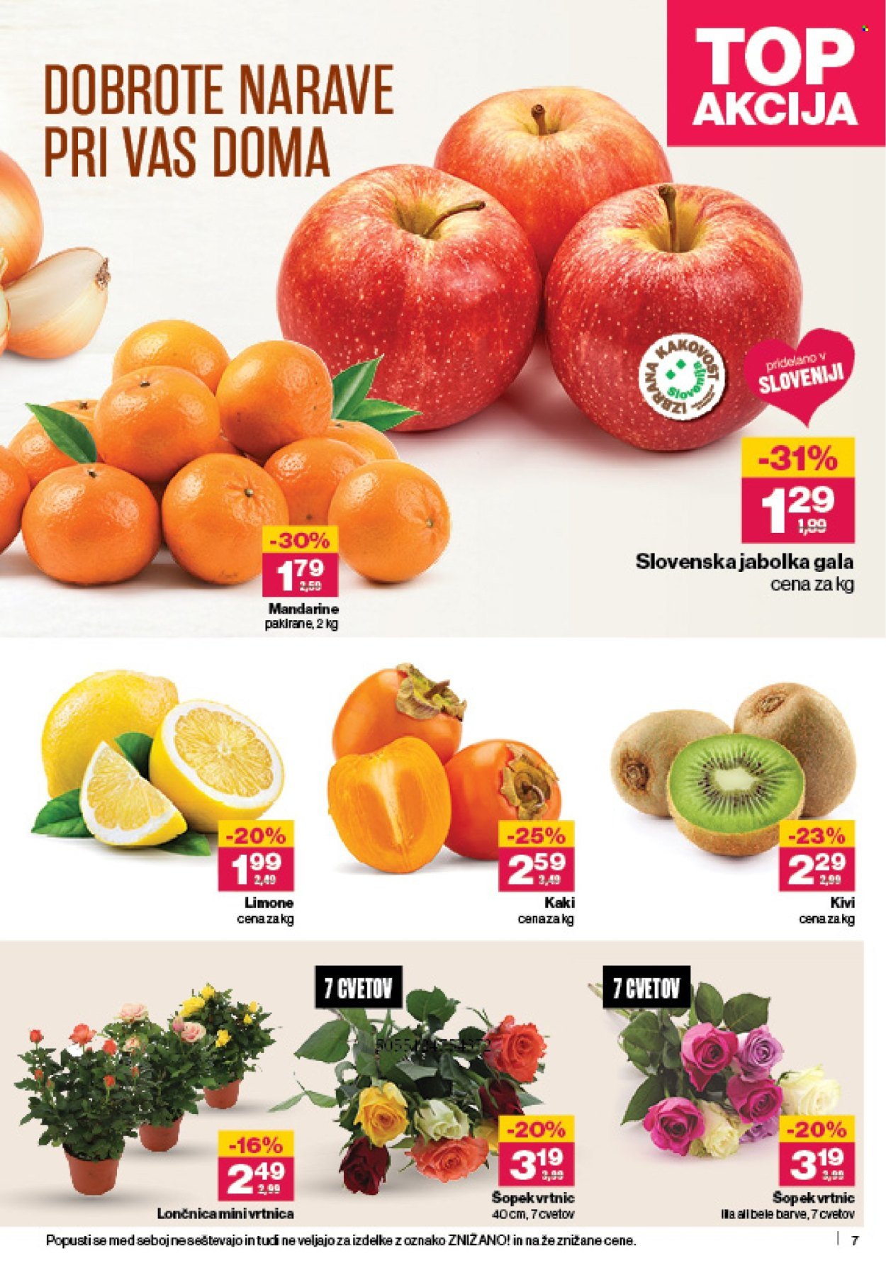 MERCATOR katalog - Redni katalog (2025-11-06 - 2025-11-12)