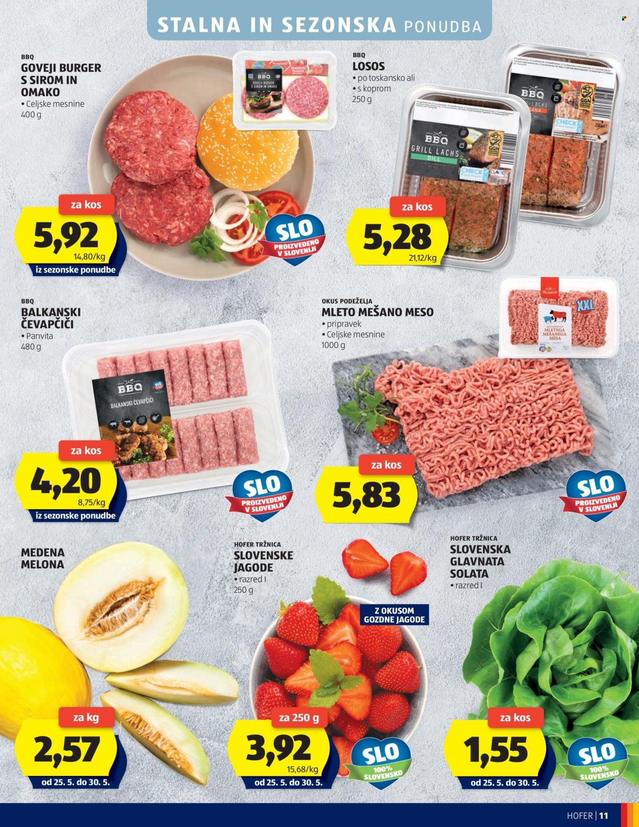 HOFER katalog - Od srede, 20. 5. 2026 (2026-05-20 - 2026-05-28)