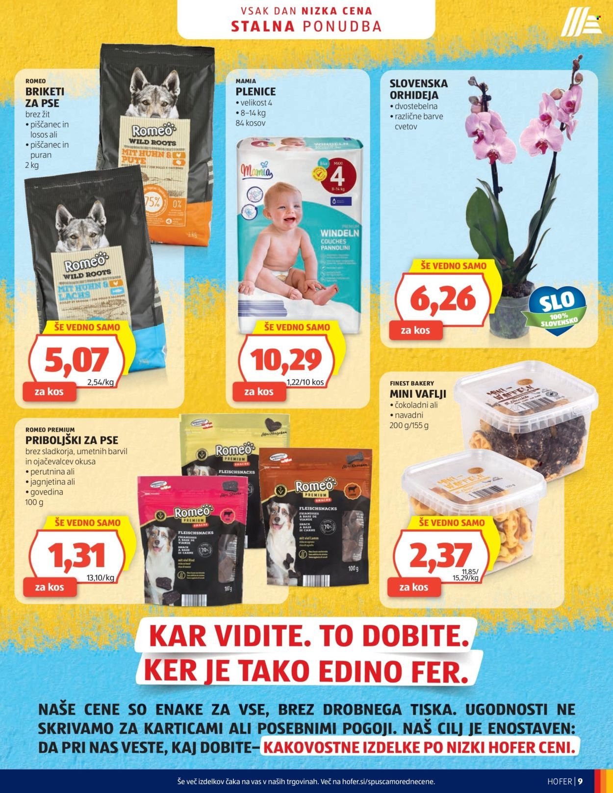 HOFER katalog - Od srede, 29. 4. 2026 (2026-04-29 - 2026-05-07)