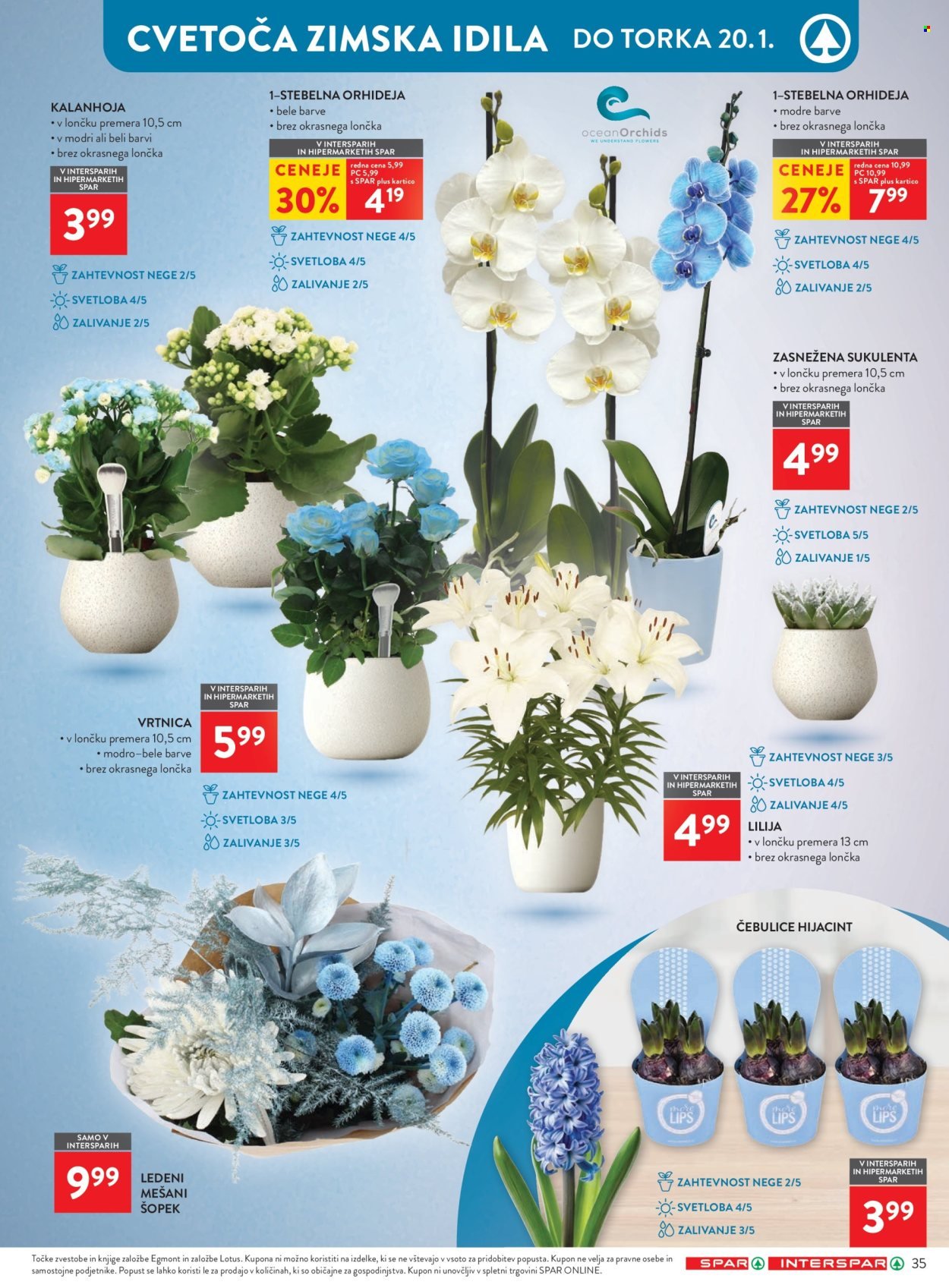 SPAR katalog - Od srede, 7. 1. 2026 (2026-01-07 - 2026-01-31)