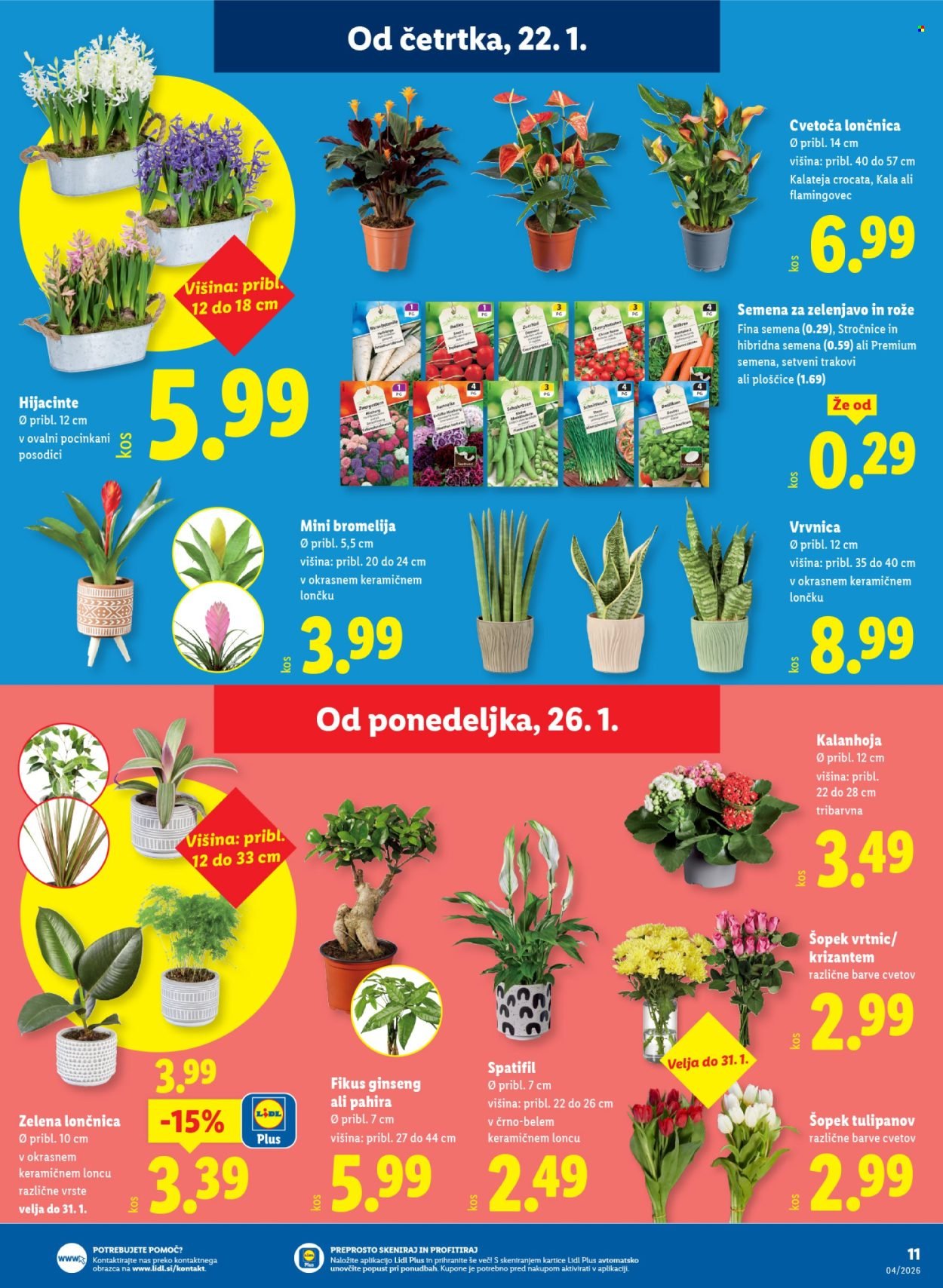 LIDL katalog - Od četrtka, 22. 1. 2026 (2026-01-22 - 2026-01-28)