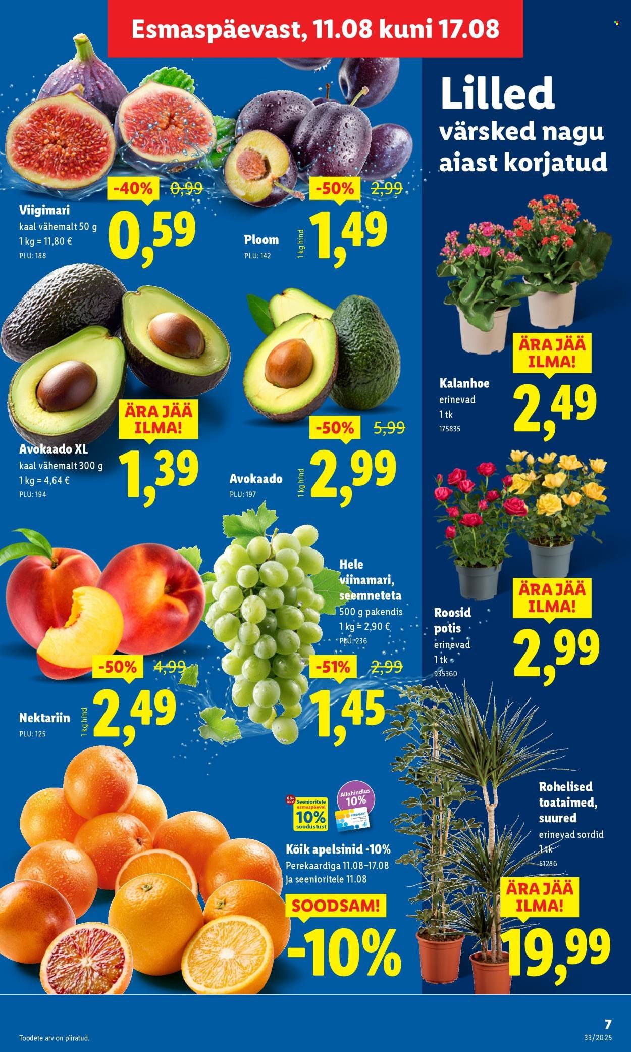LIDL katalog - Nädalalõpu pakkumised (2025-08-14 - 2025-08-17)