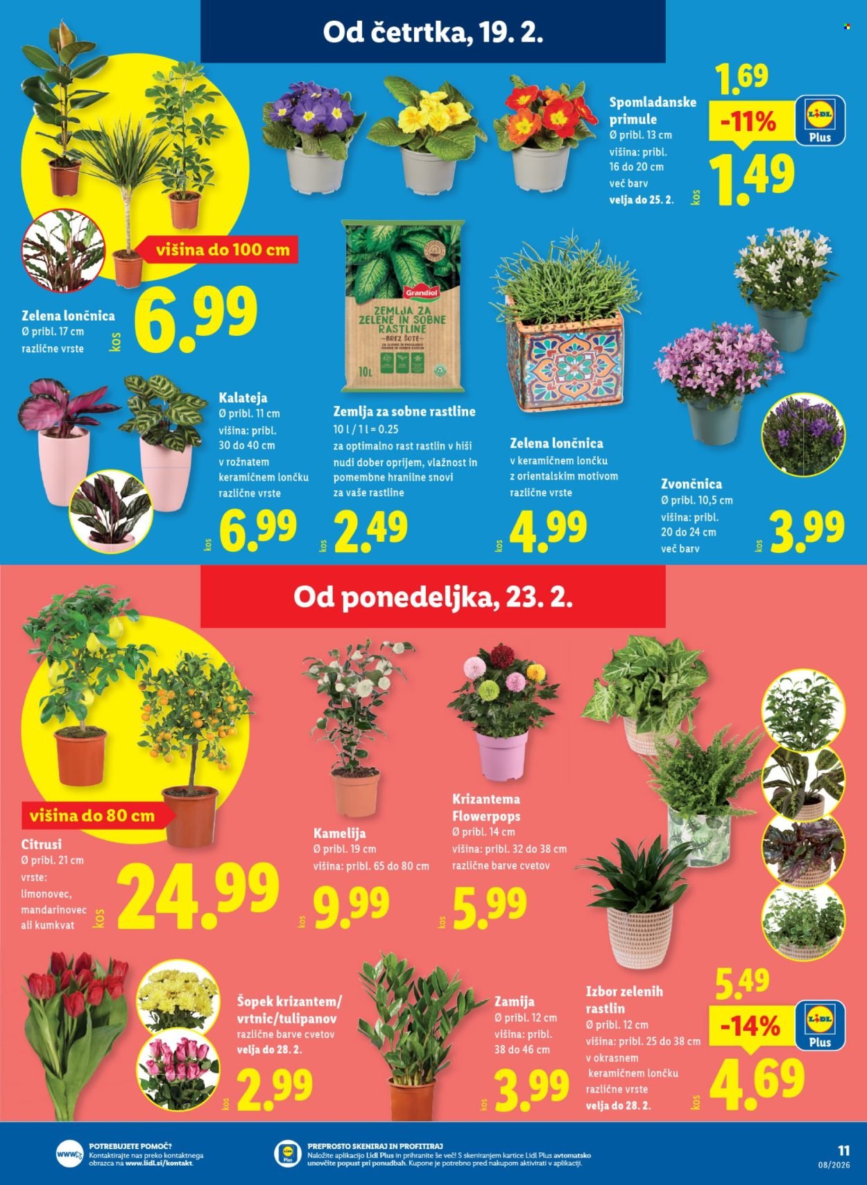 LIDL katalog - Od četrtka, 19. 2. 2026 (2026-02-19 - 2026-02-25)