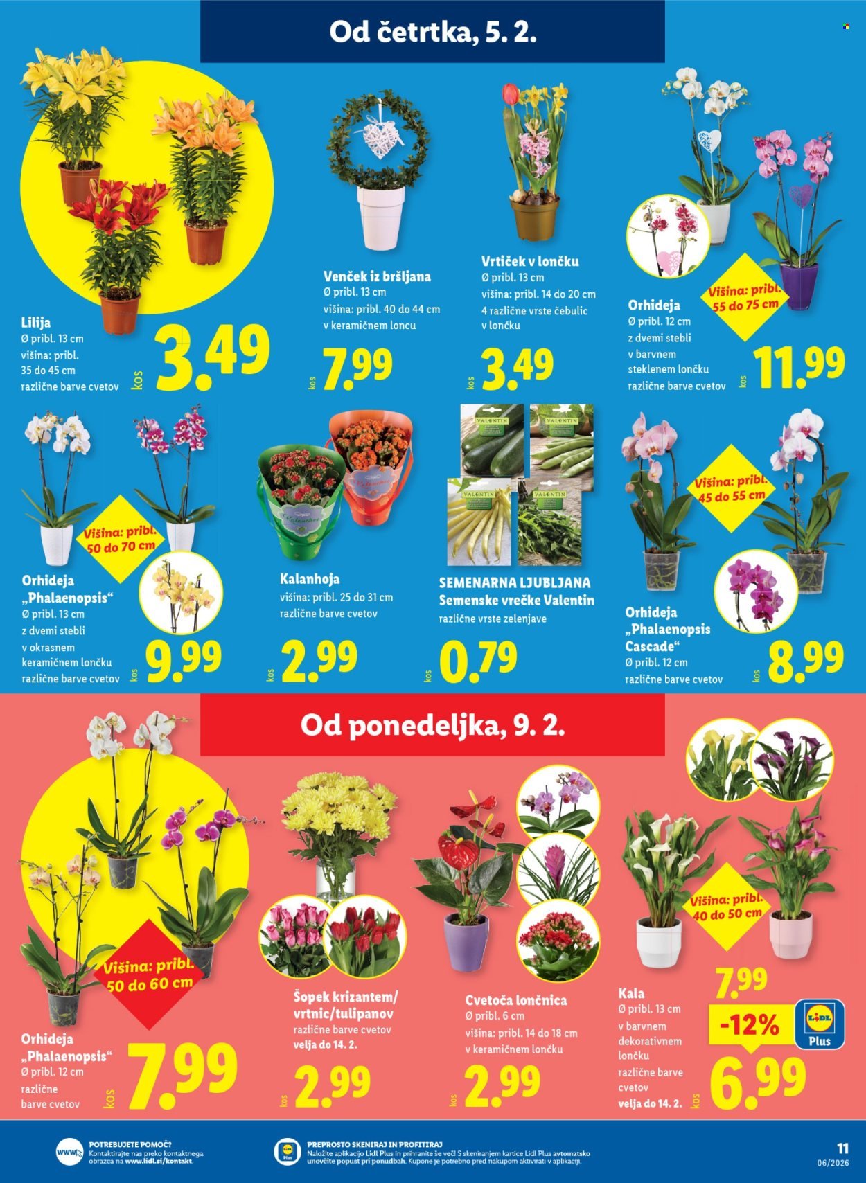LIDL katalog - Od četrtka, 5. 2. 2026 (2026-02-05 - 2026-02-11)