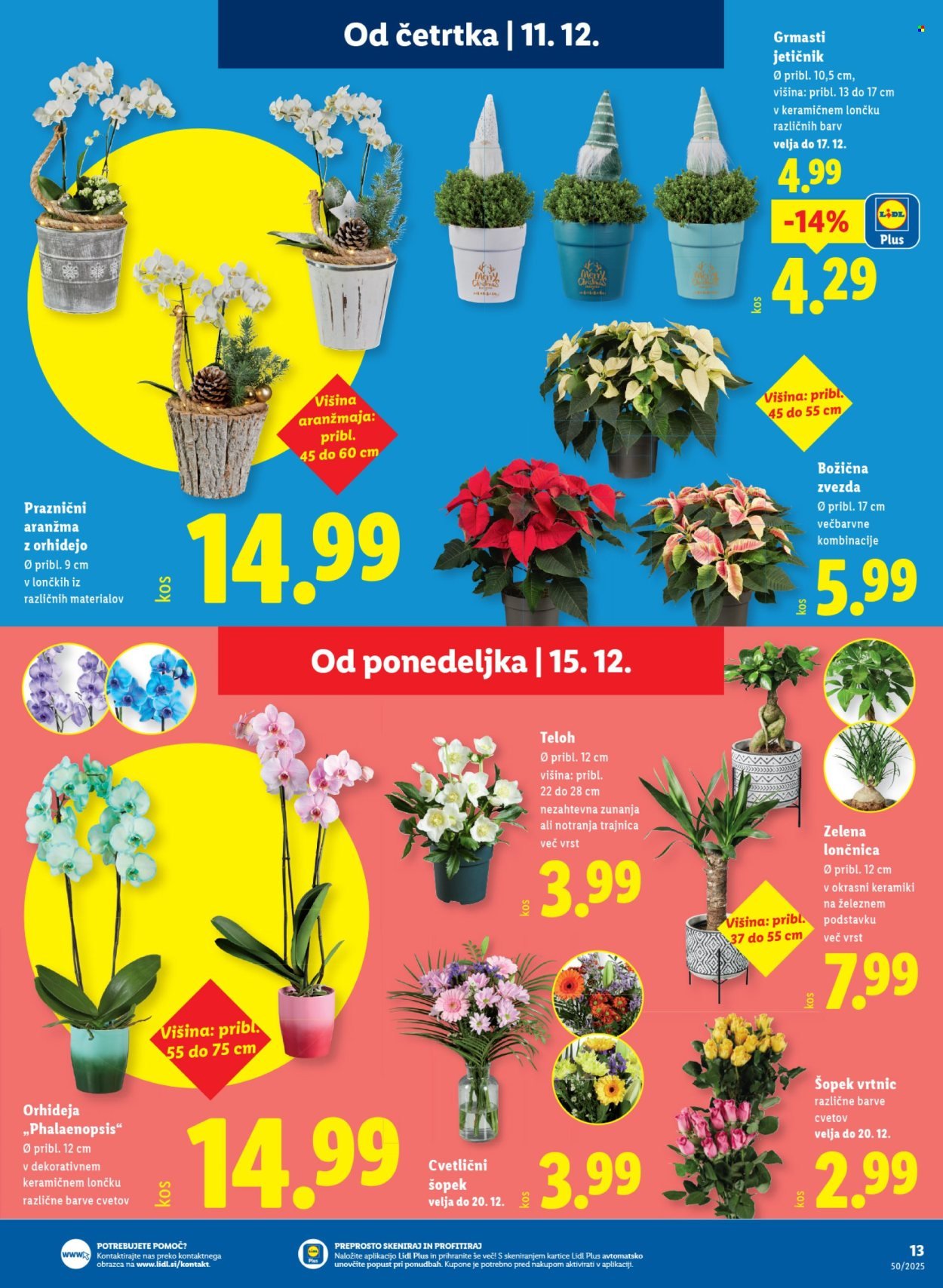 LIDL katalog - Od četrtka, 11. 12. 2025 (2025-12-11 - 2025-12-17)