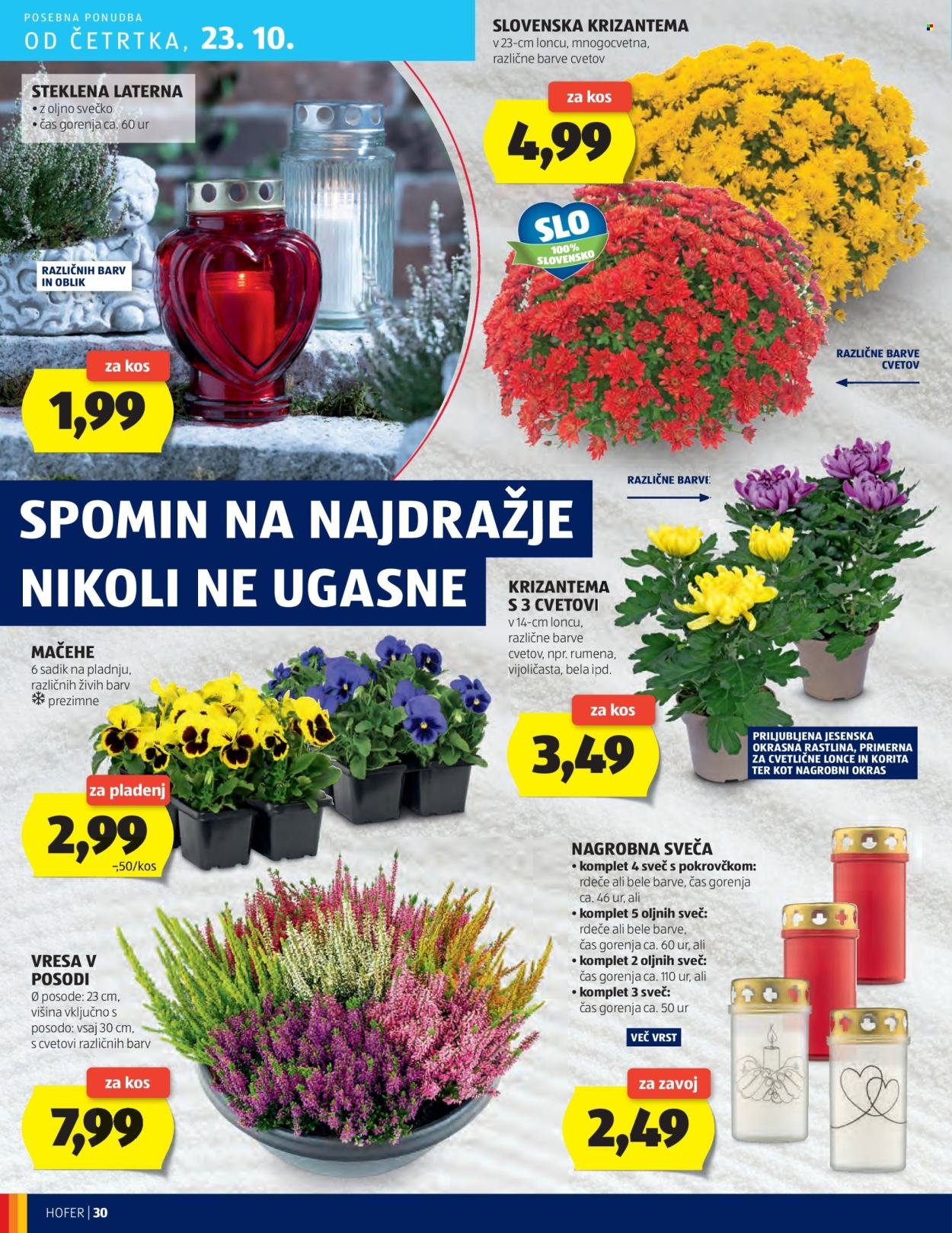 HOFER katalog - Od četrtka, 16. 10. 2025 (2025-10-16 - 2025-10-23)