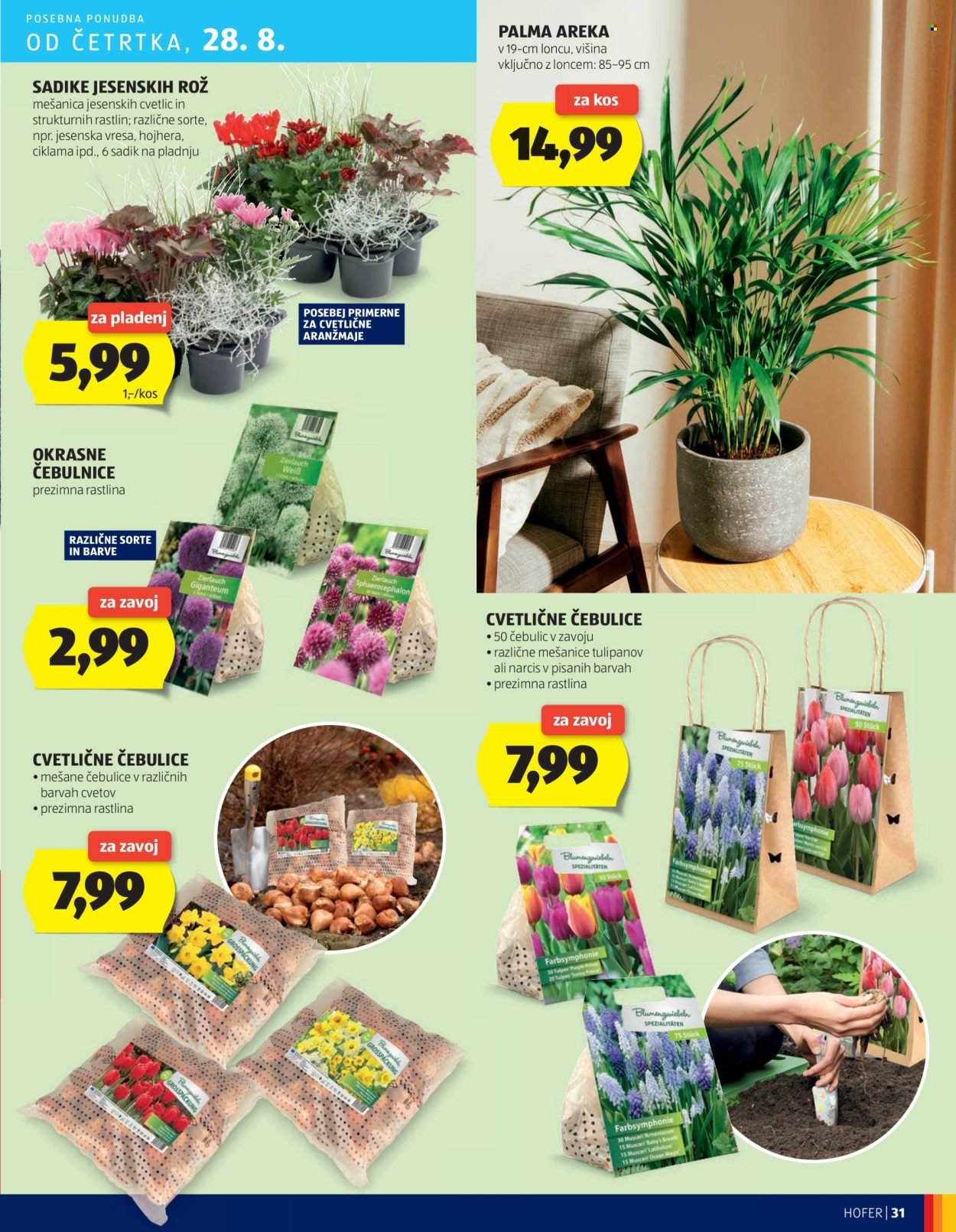 HOFER katalog - Od četrtka, 21. 8. 2025 (2025-08-21 - 2025-08-30)