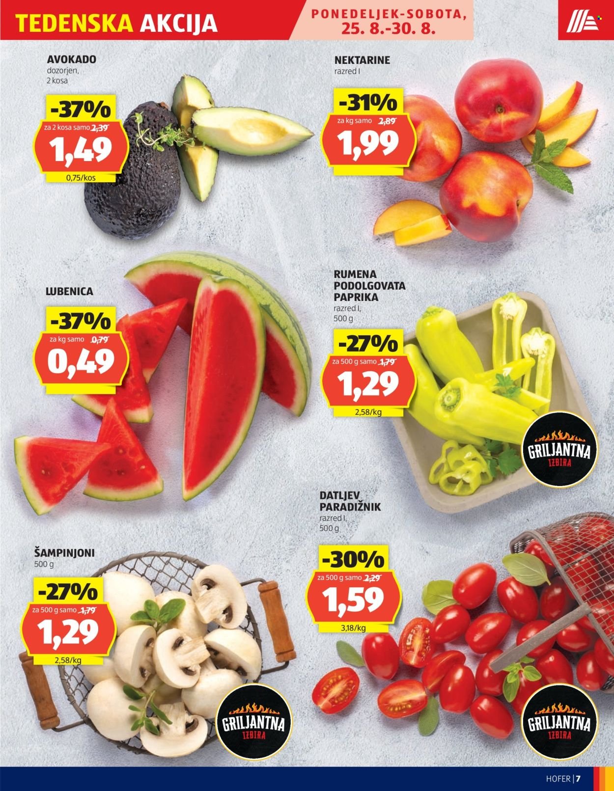 HOFER katalog - Od četrtka, 21. 8. 2025 (2025-08-21 - 2025-08-30)