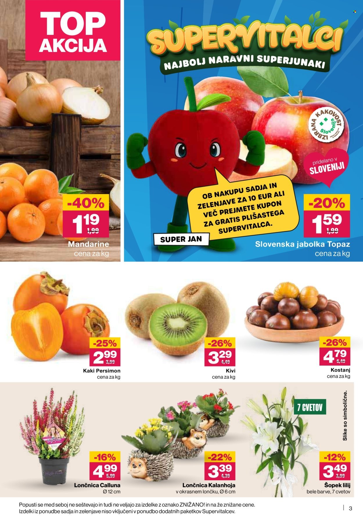 MERCATOR katalog - Redni katalog (2025-10-09 - 2025-10-15)