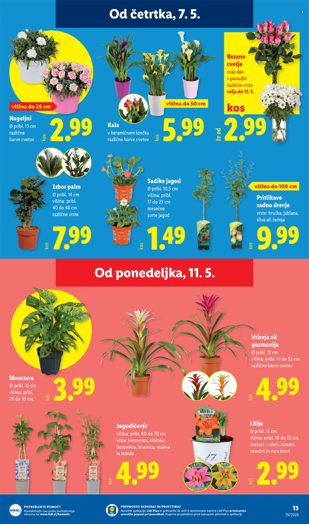 LIDL katalog - Od četrtka, 7. 5. 2026 (2026-05-07 - 2026-05-13)