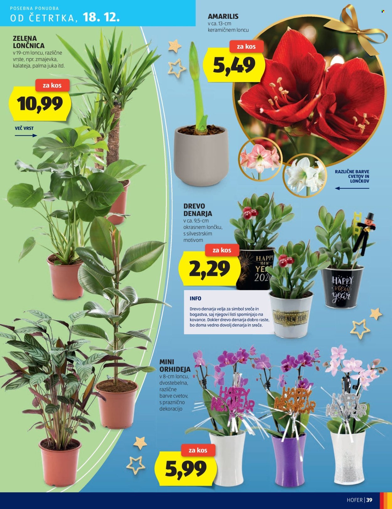 HOFER katalog - Od četrtka, 11. 12. 2025 (2025-12-11 - 2025-12-18)